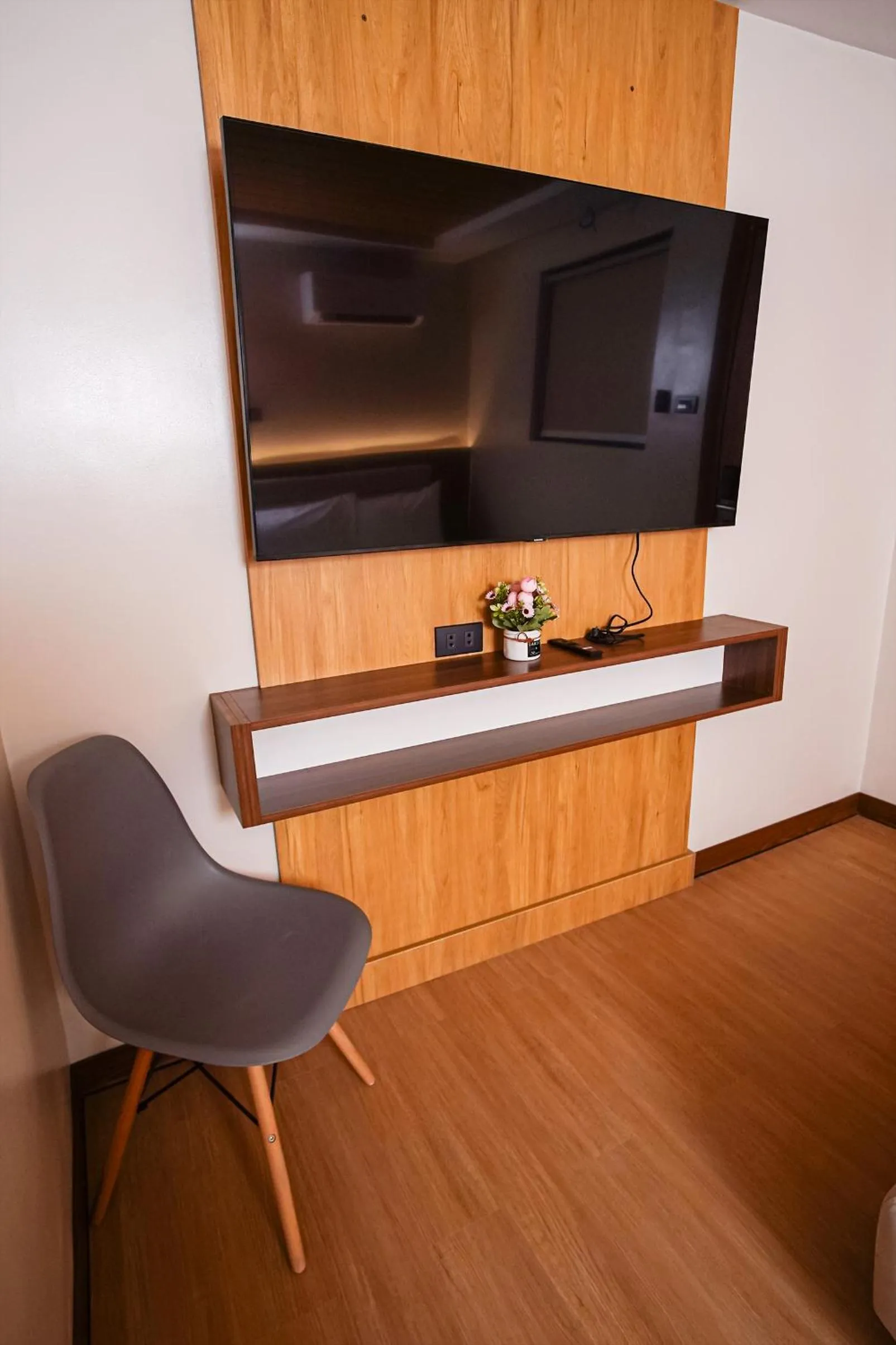 TV and multimedia in Gonzales Hotel