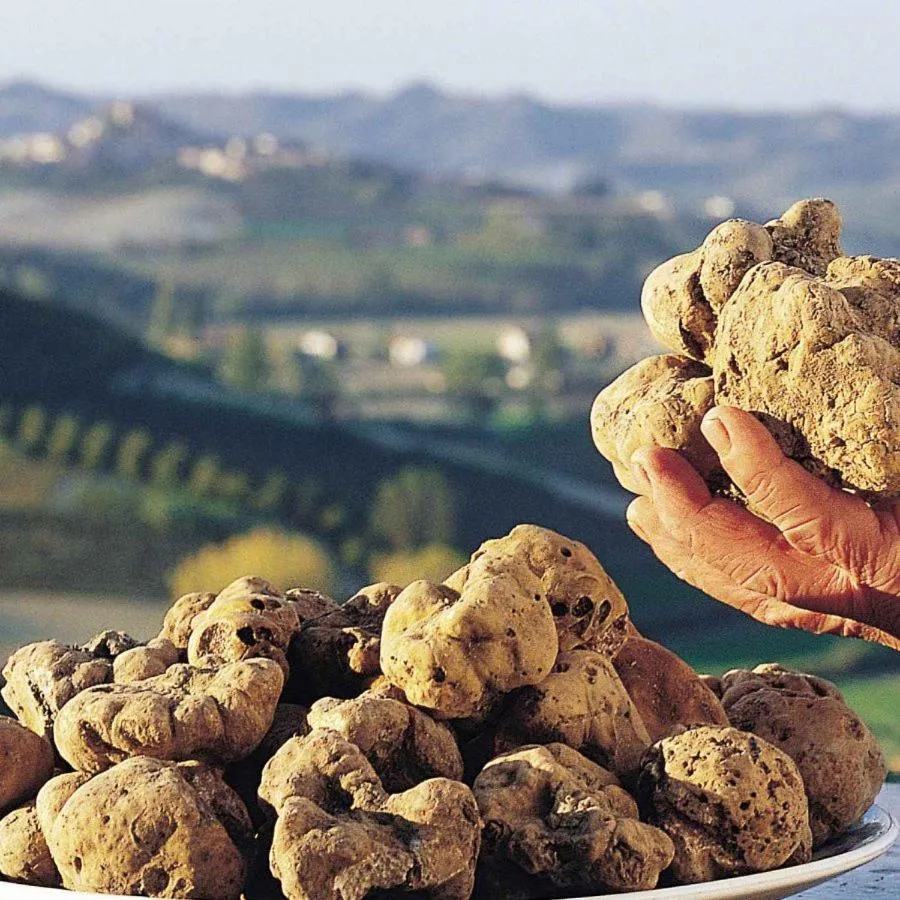 Food in B&B Marzia