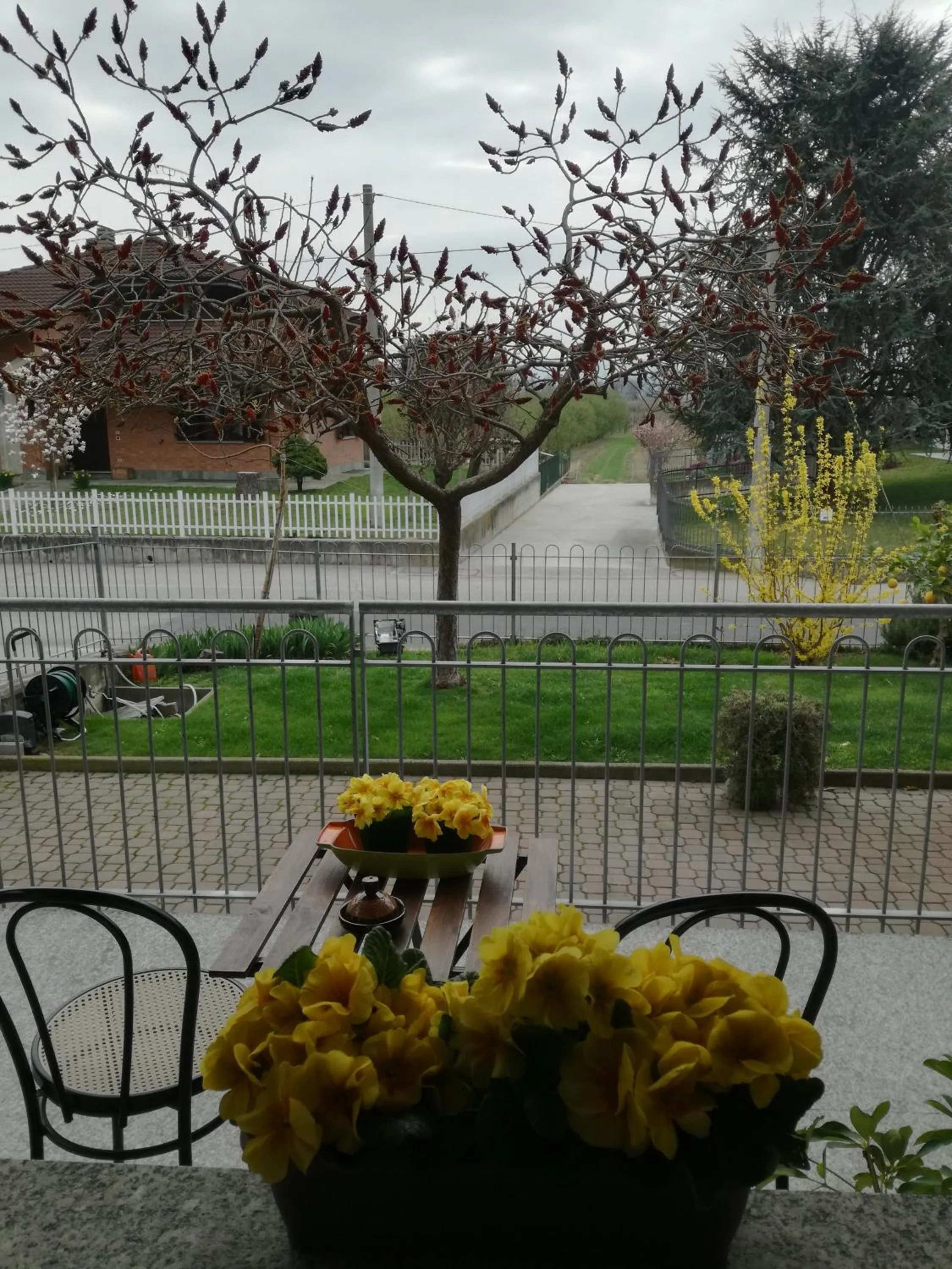 Garden view in B&B Marzia