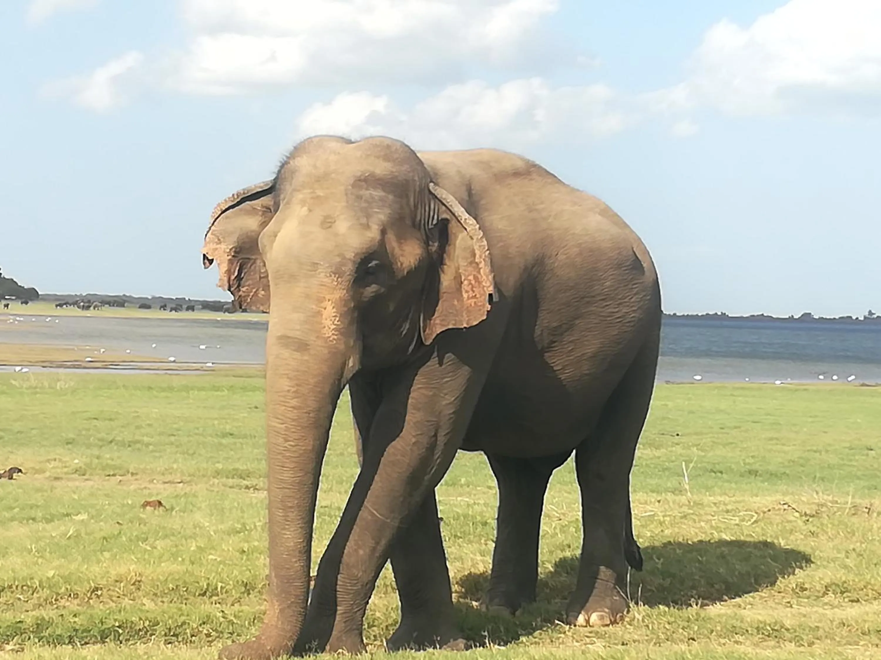 Activities in Sisira Natural Lodge - Sigiriya