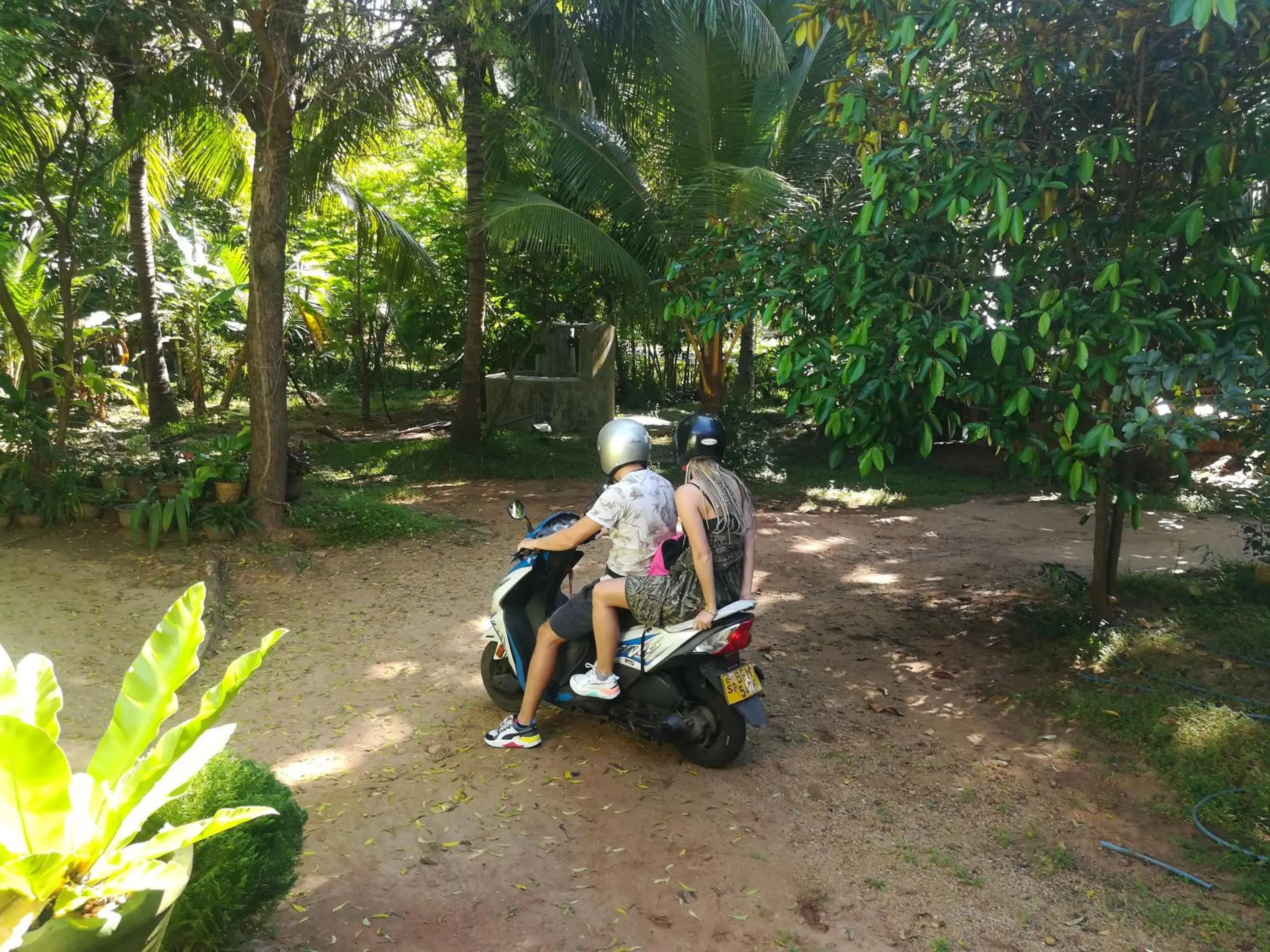 Other in Sisira Natural Lodge - Sigiriya