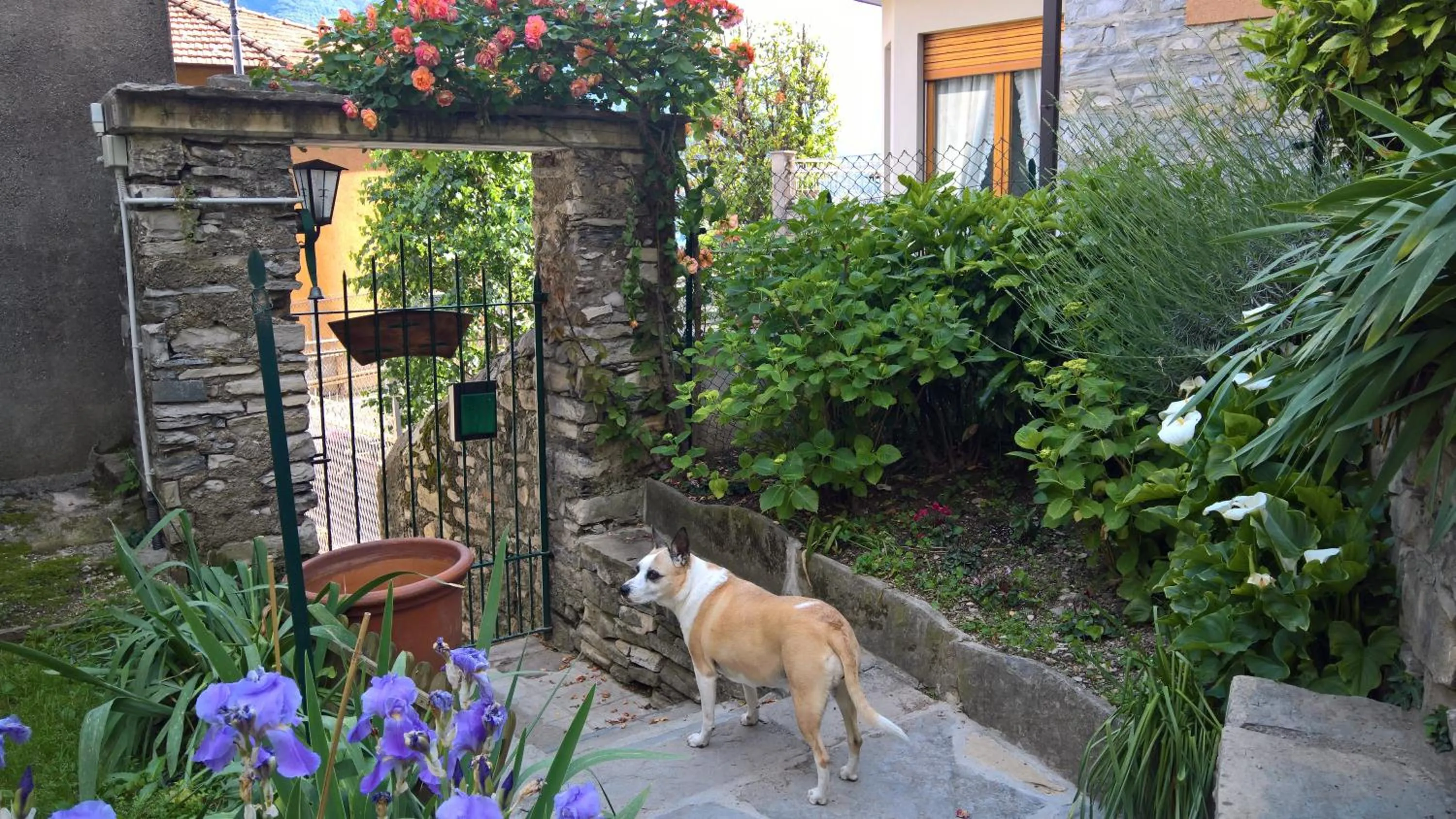 Property building in B&B "A Casa di Camilla"