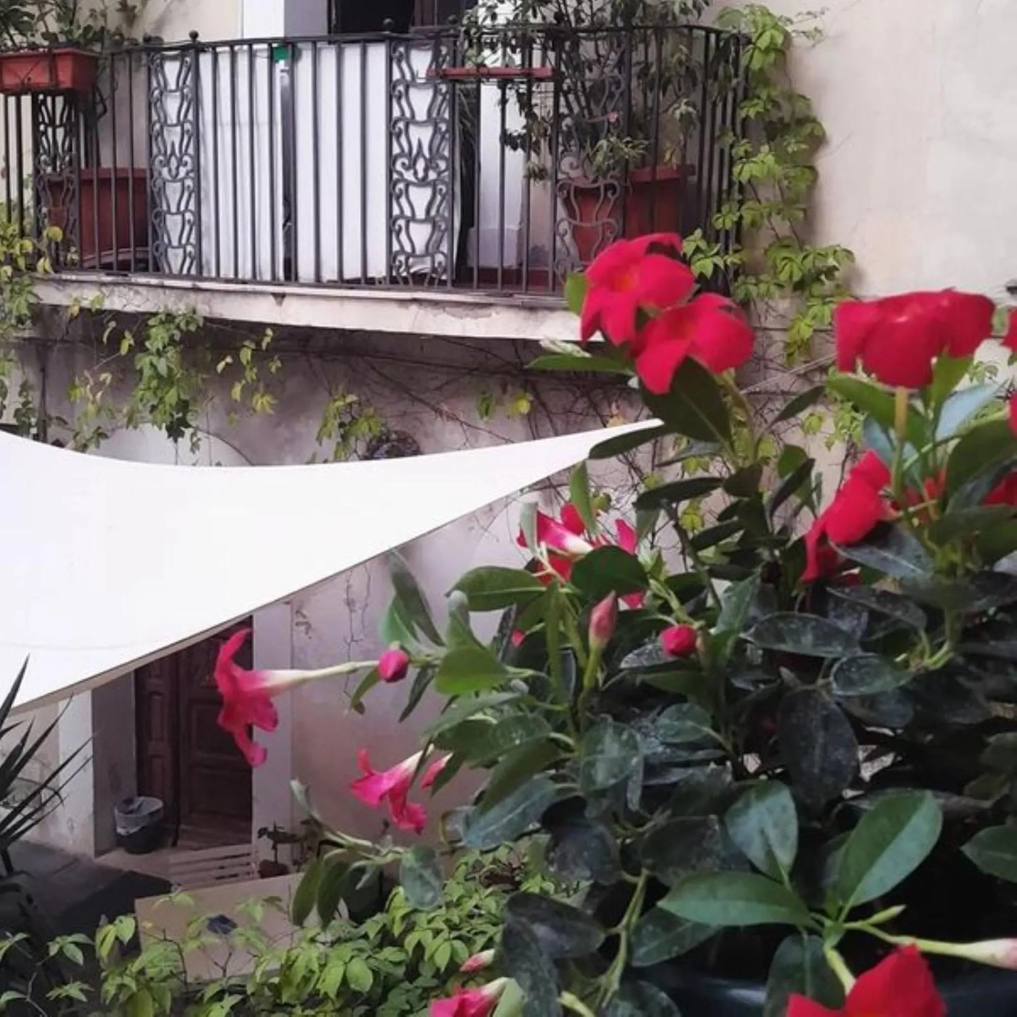 Apartment Via dell'Astrologo