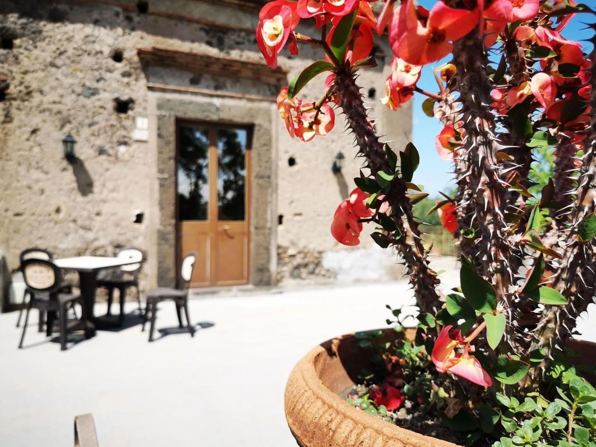 Balcony/Terrace in Le Grotte
