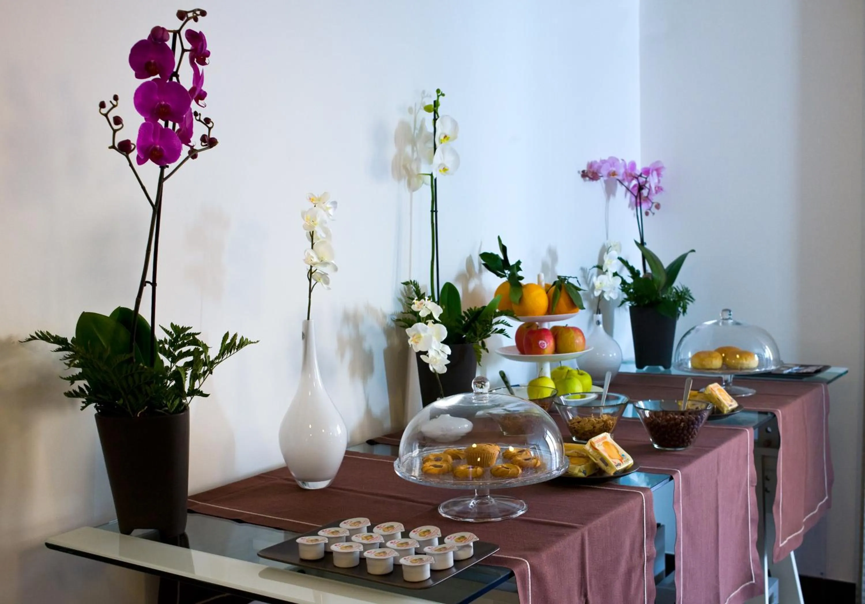 Food and drinks in A Mo Casa