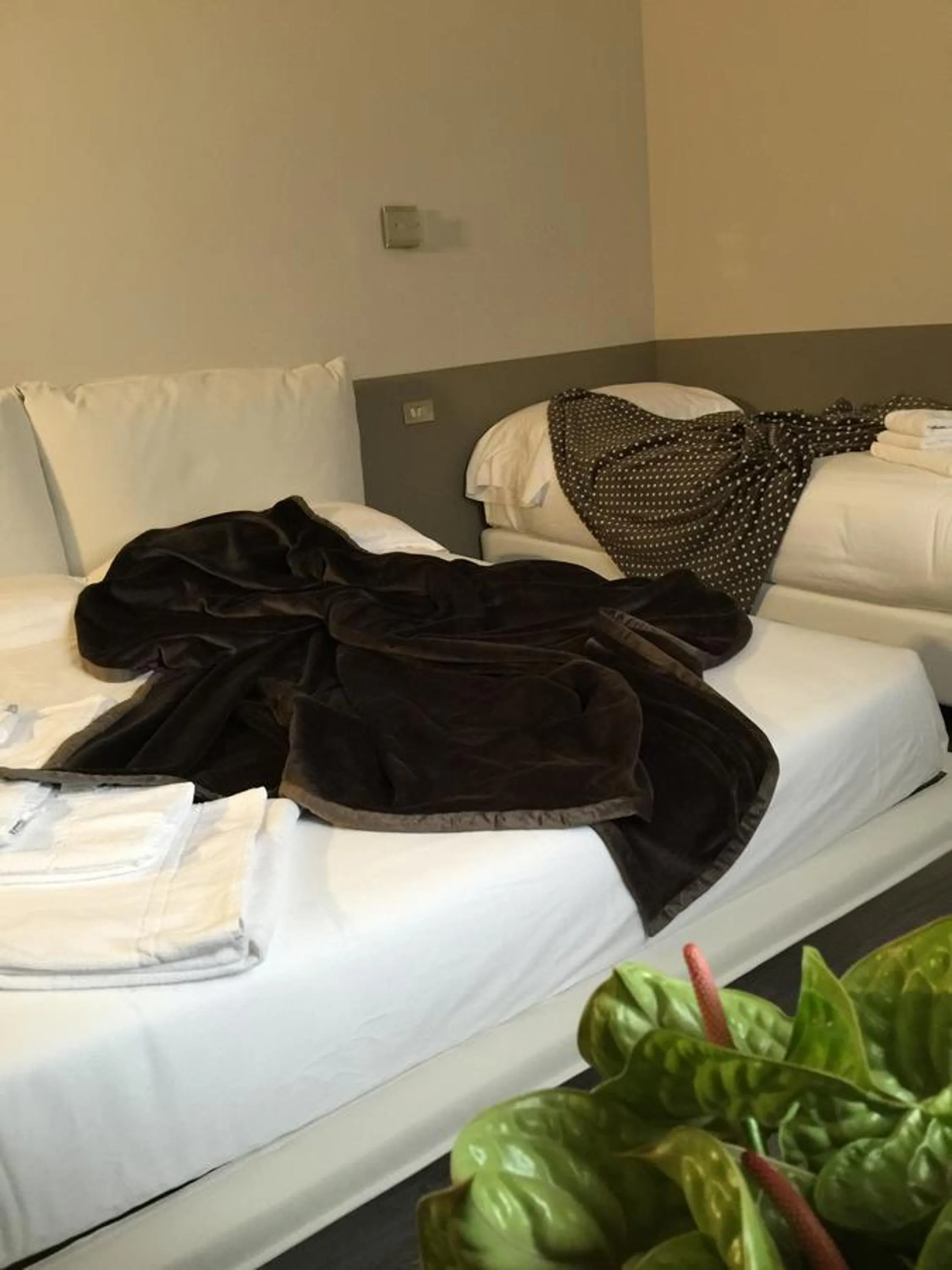 Photo of the whole room in Albergo Al Cacciatore Tortellinando