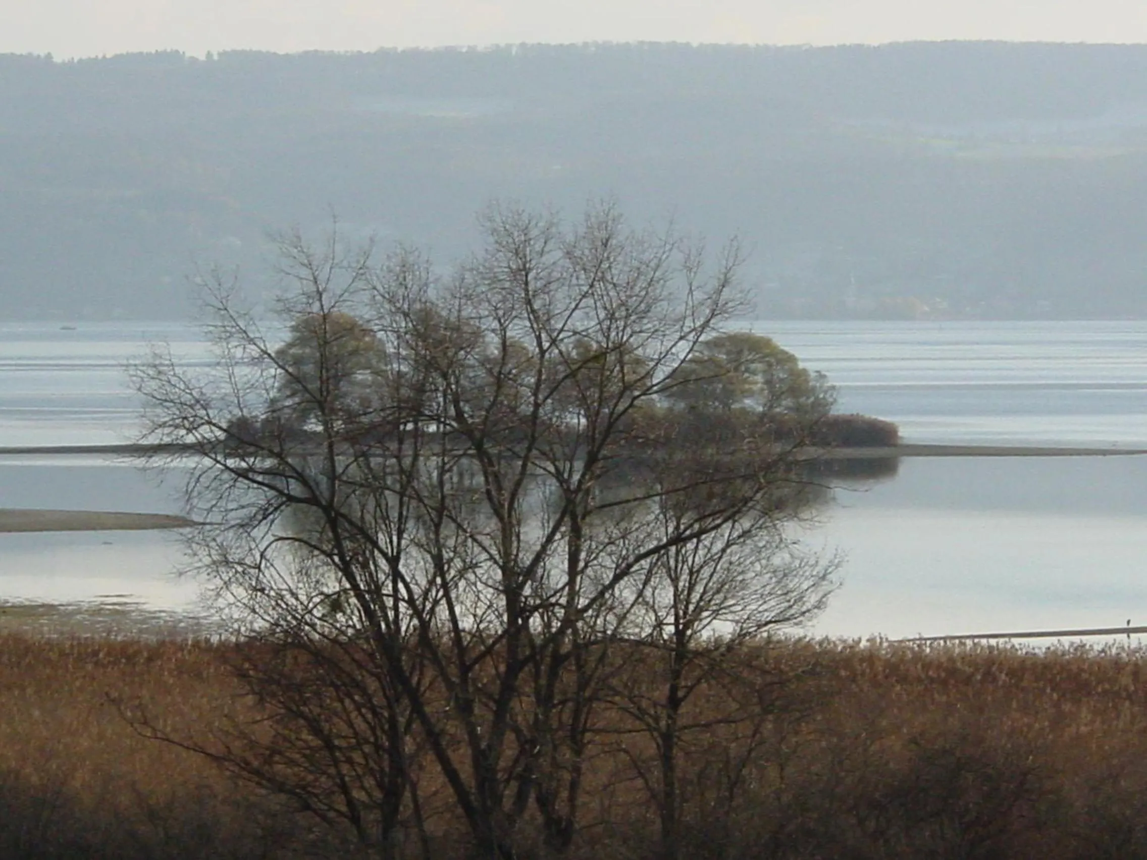 Natural landscape in Hotel Christine