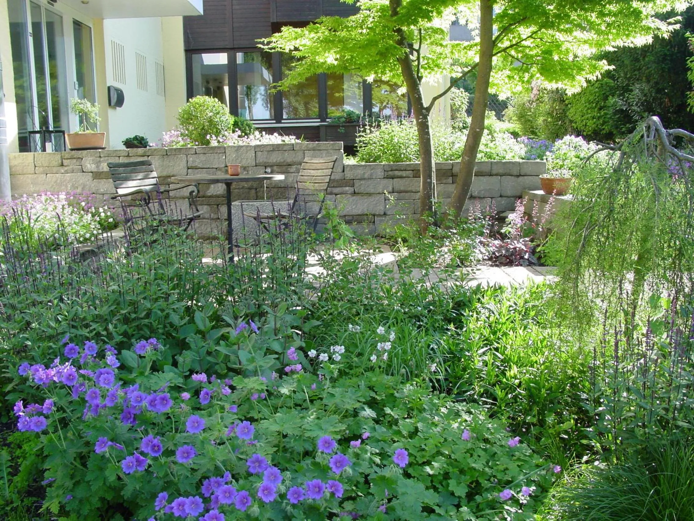 Garden in Hotel Christine