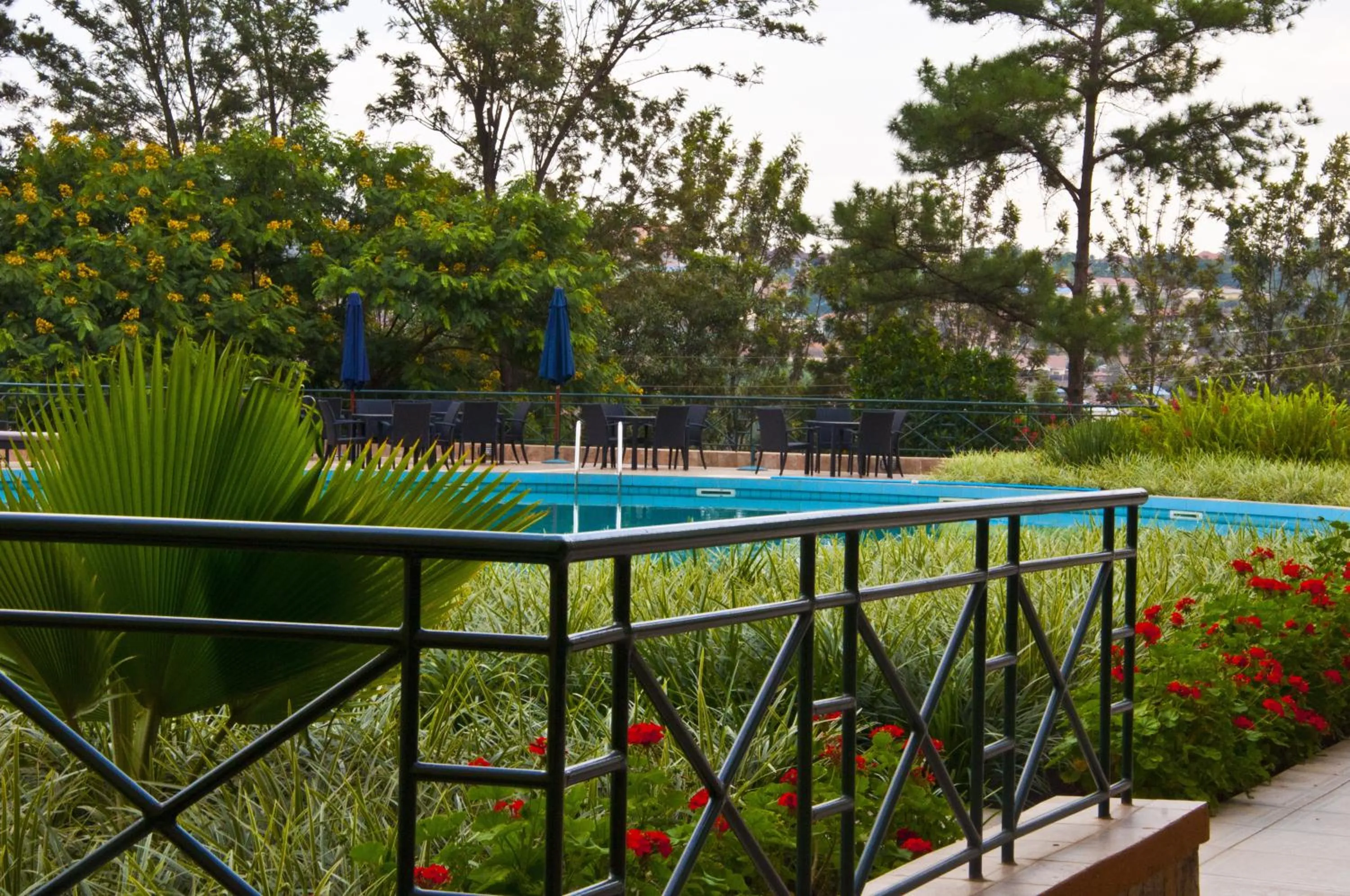 Swimming pool in Gorillas Golf Hotel