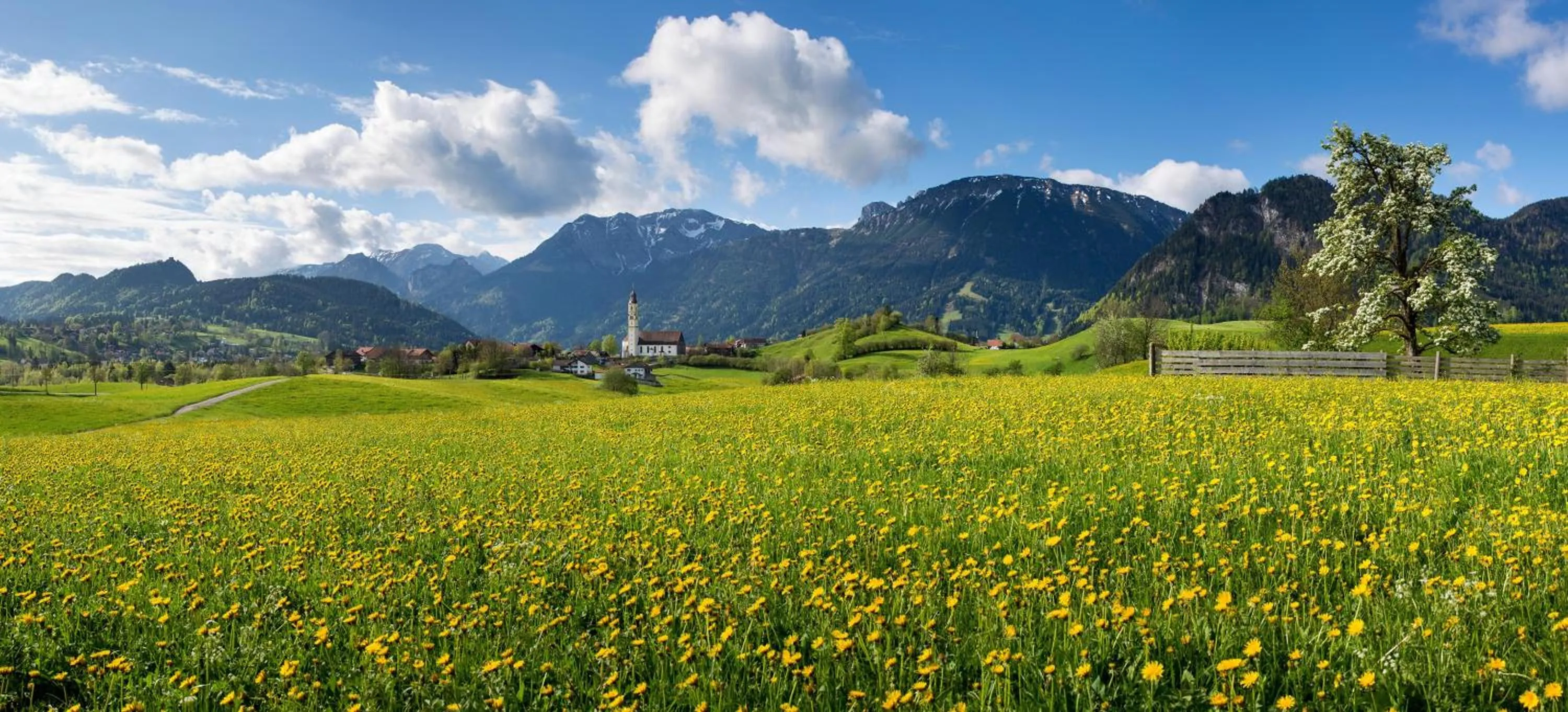 Pension Vendel