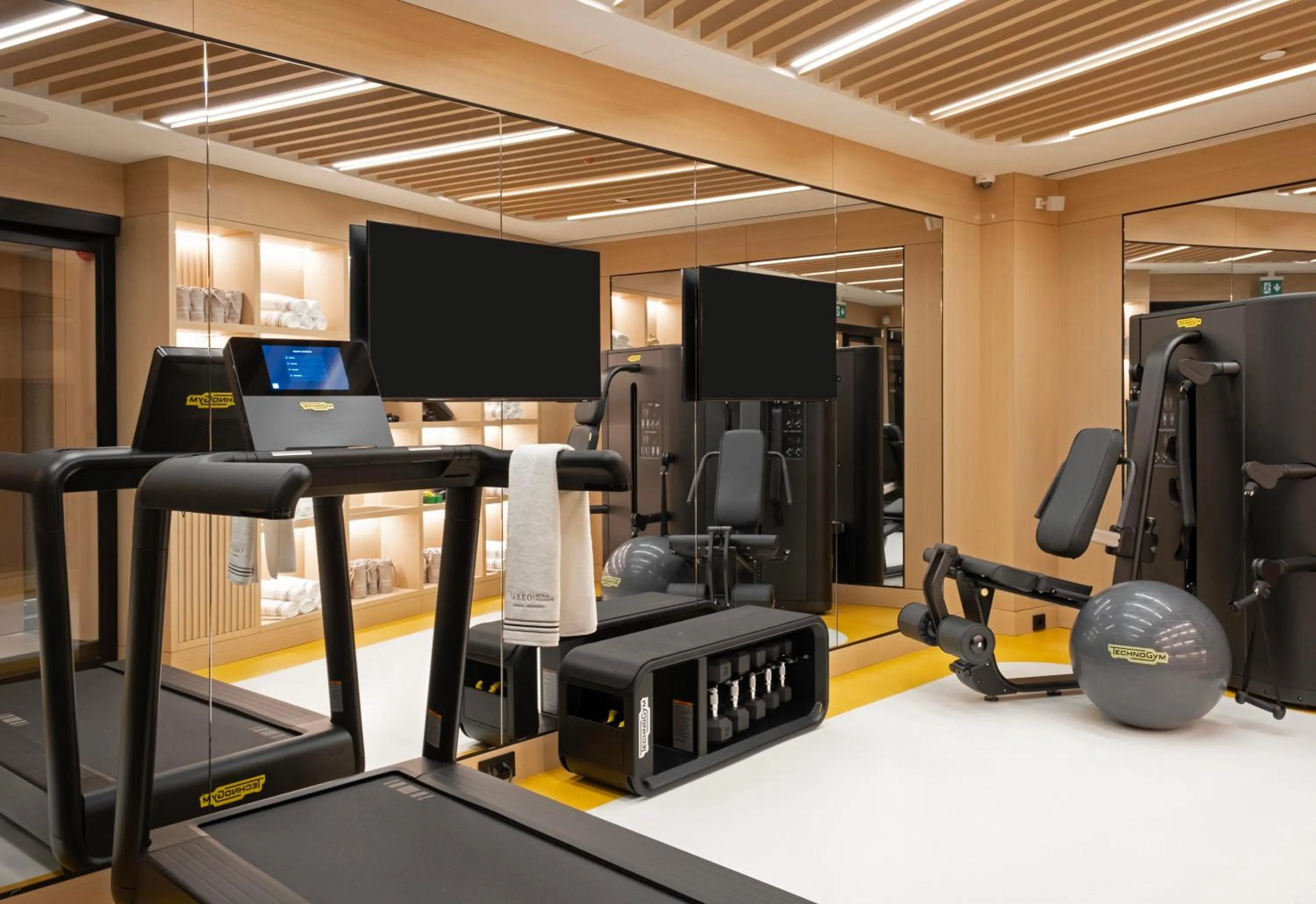 Fitness centre/facilities in Vakko Hotel Sumahan Bosphorus