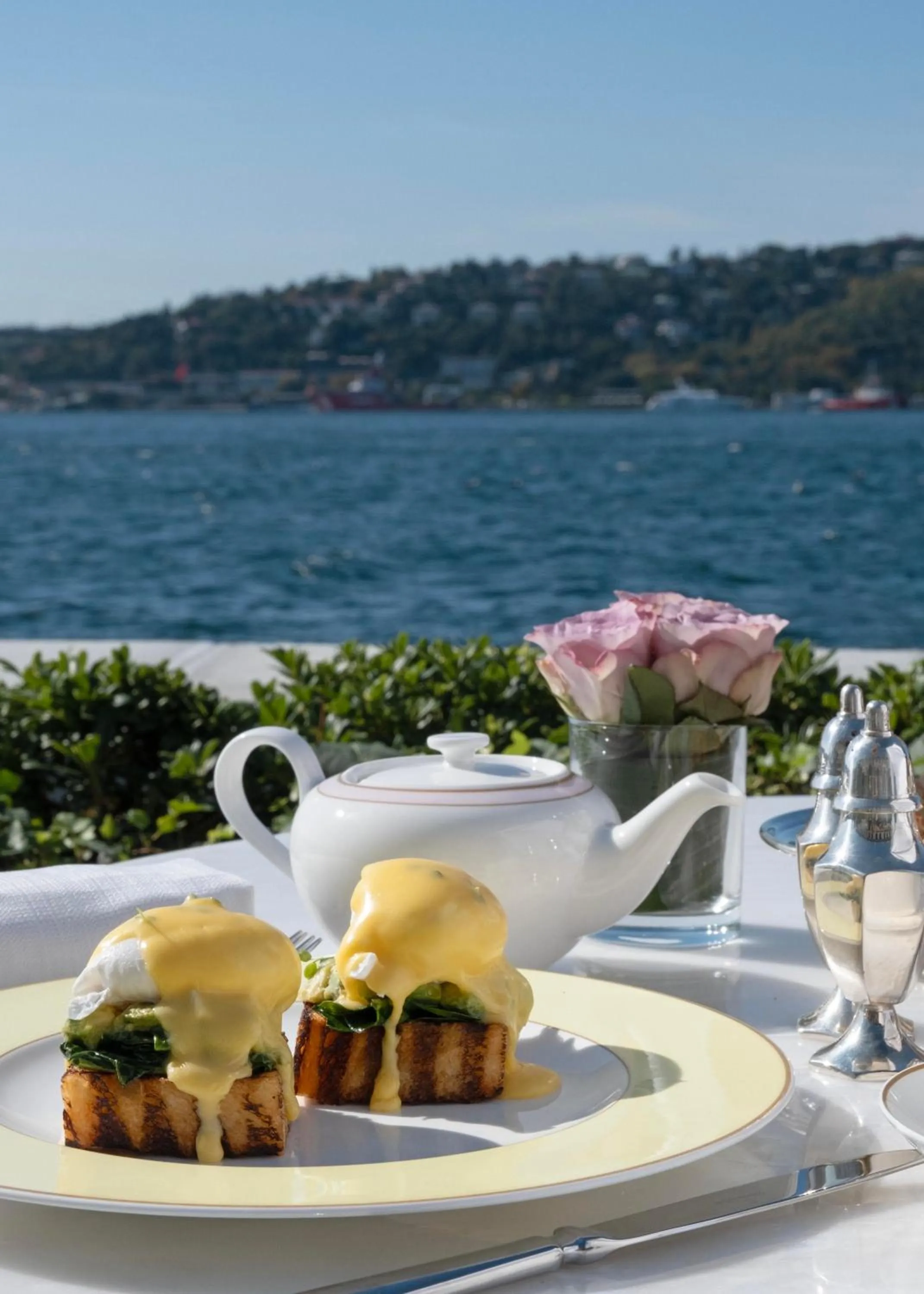 Natural landscape in Vakko Hotel Sumahan Bosphorus