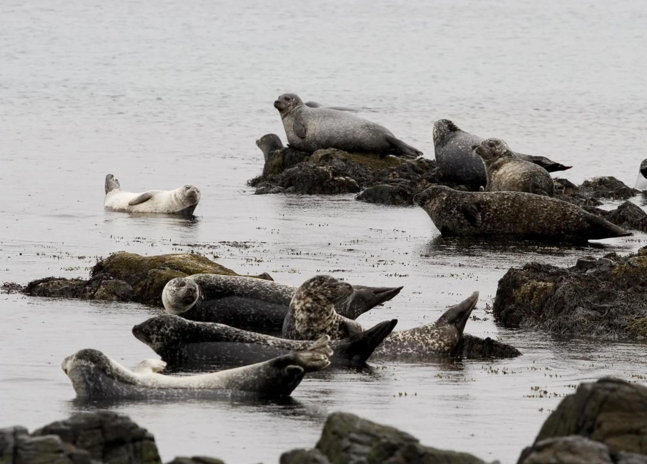 Neighbourhood in North West Restaurant & Guesthouse