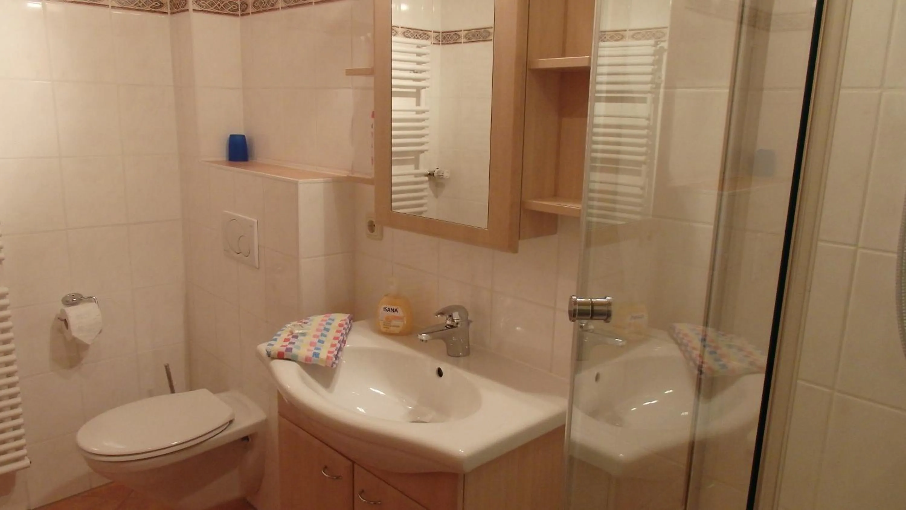 Shower in Apartment Rothenlehen