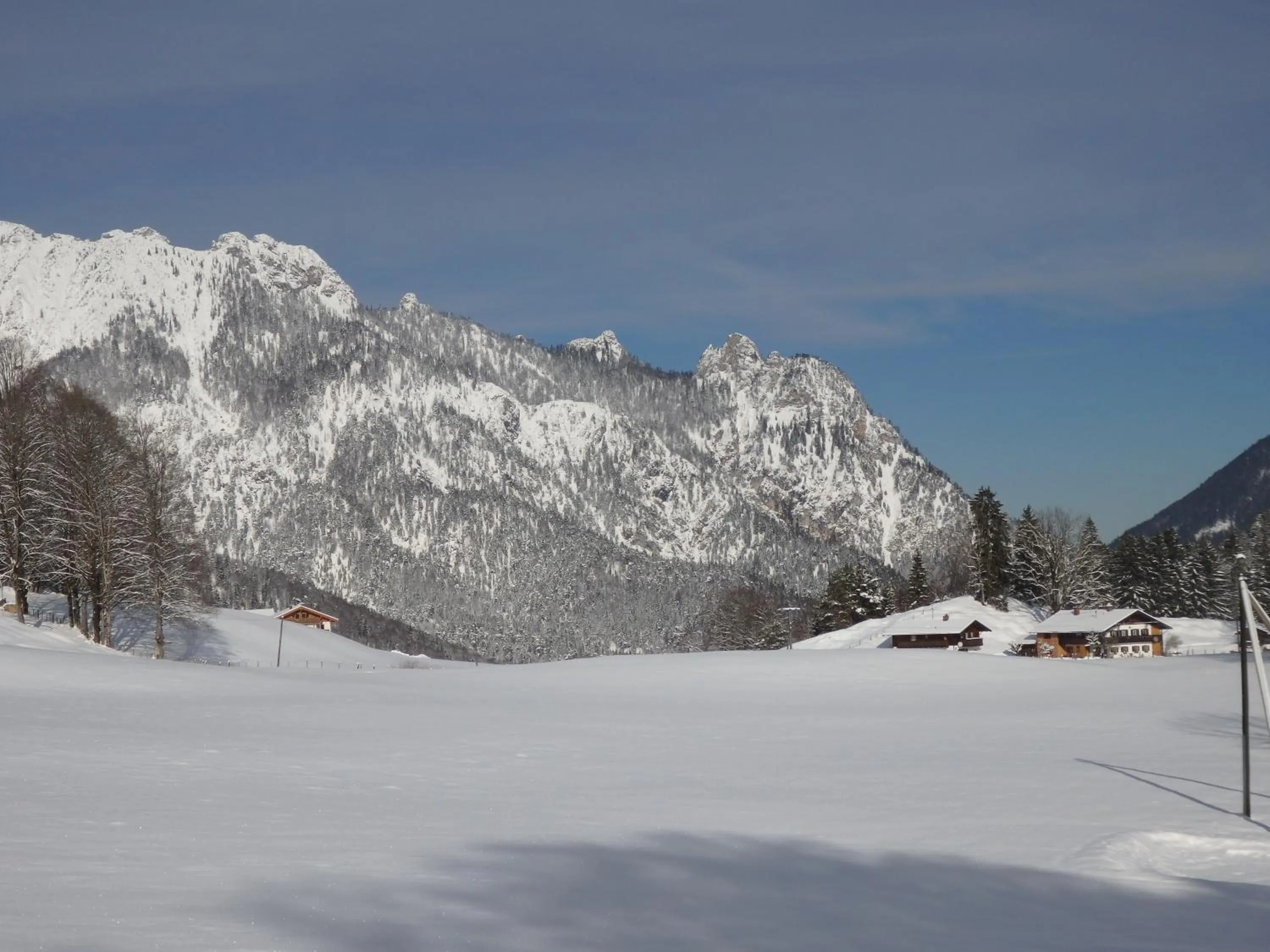 Ski School in Apartment Rothenlehen