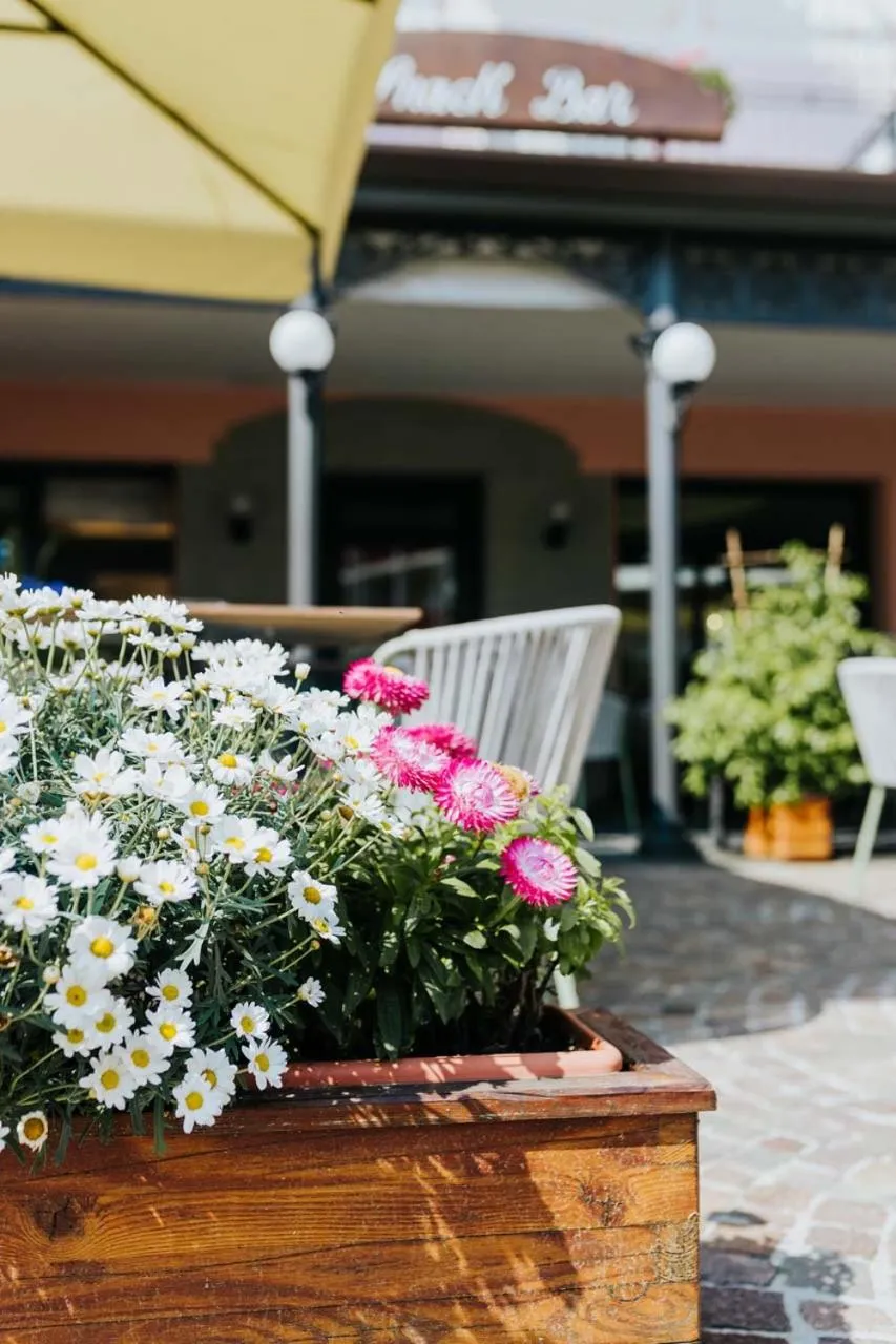 Garden view in Hotel La Serena
