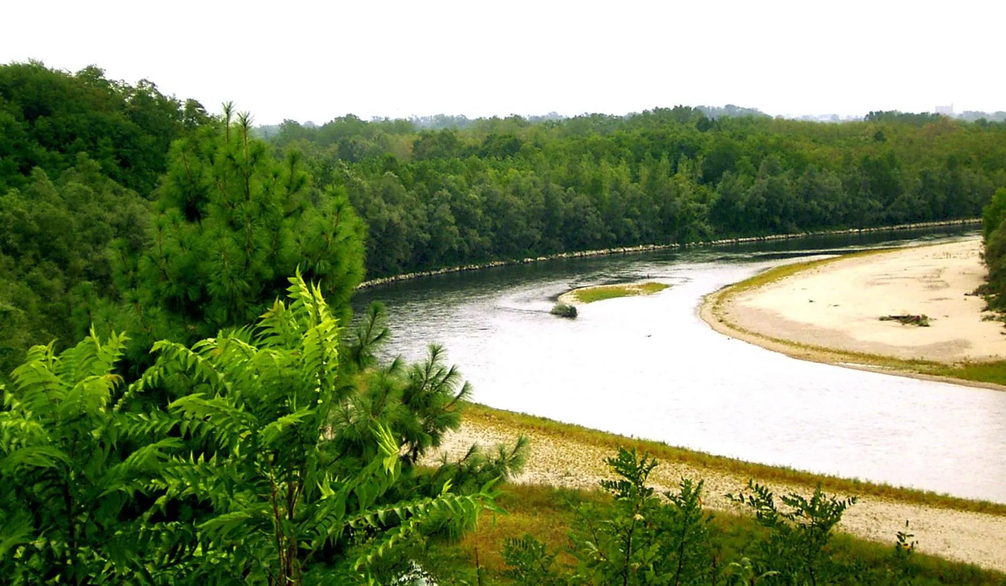 Natural landscape in La Casa delle Betulle