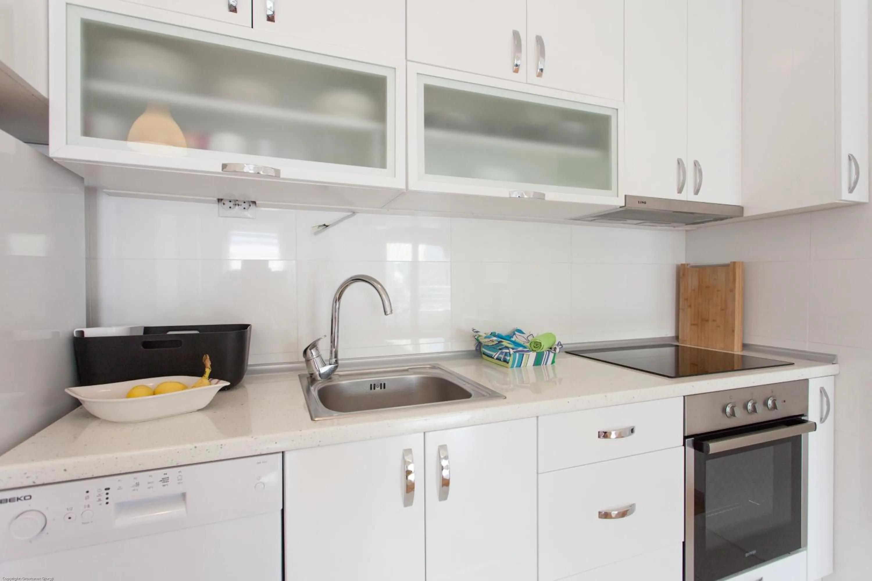 Kitchen or kitchenette in Apartment Skopje