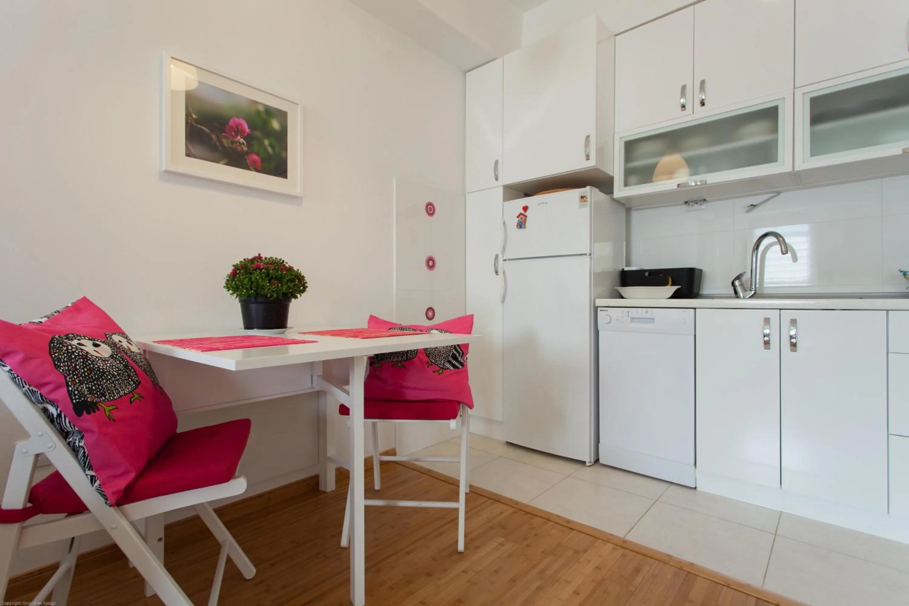 Kitchen or kitchenette in Apartment Skopje