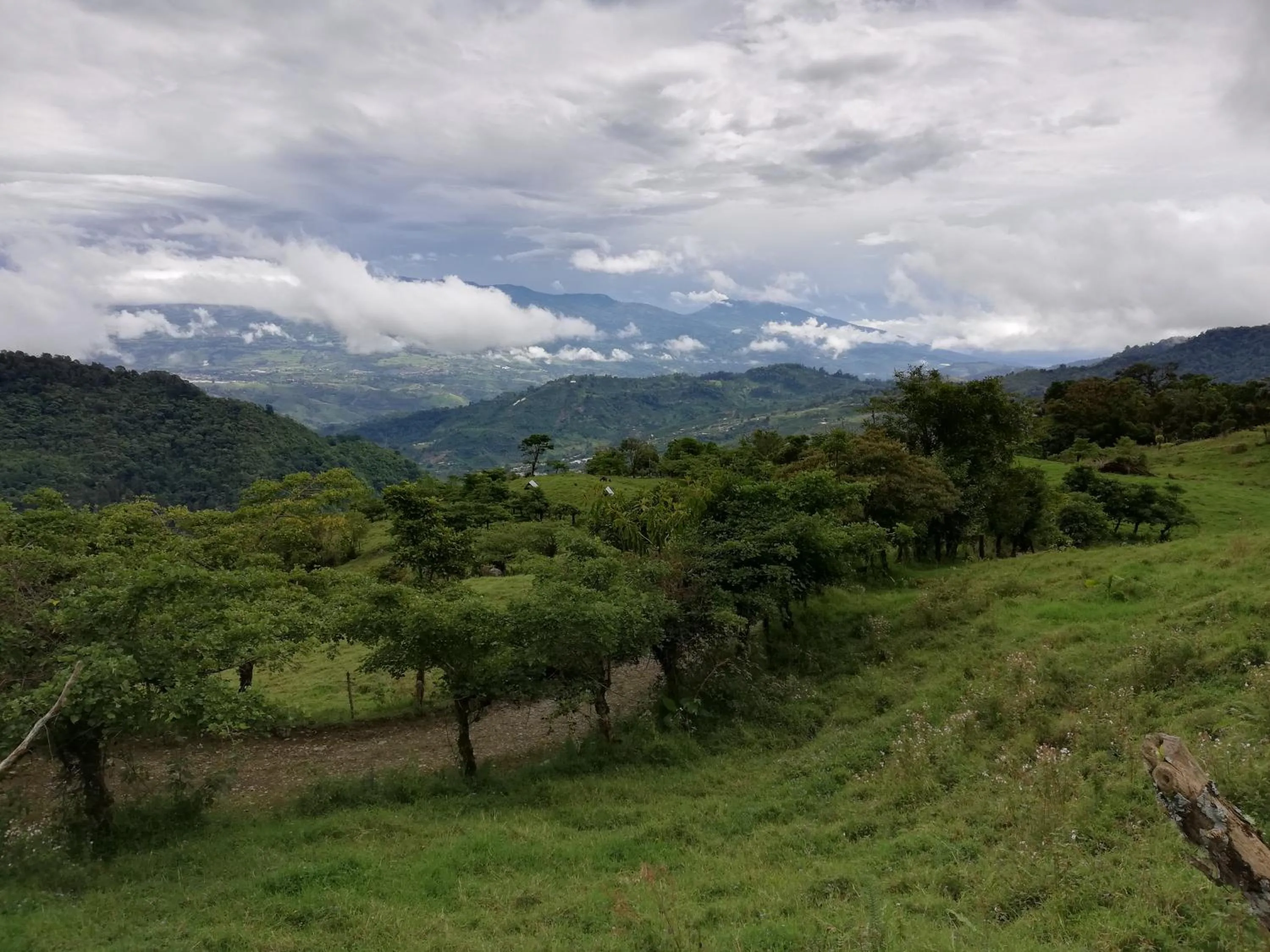Finca Queveri