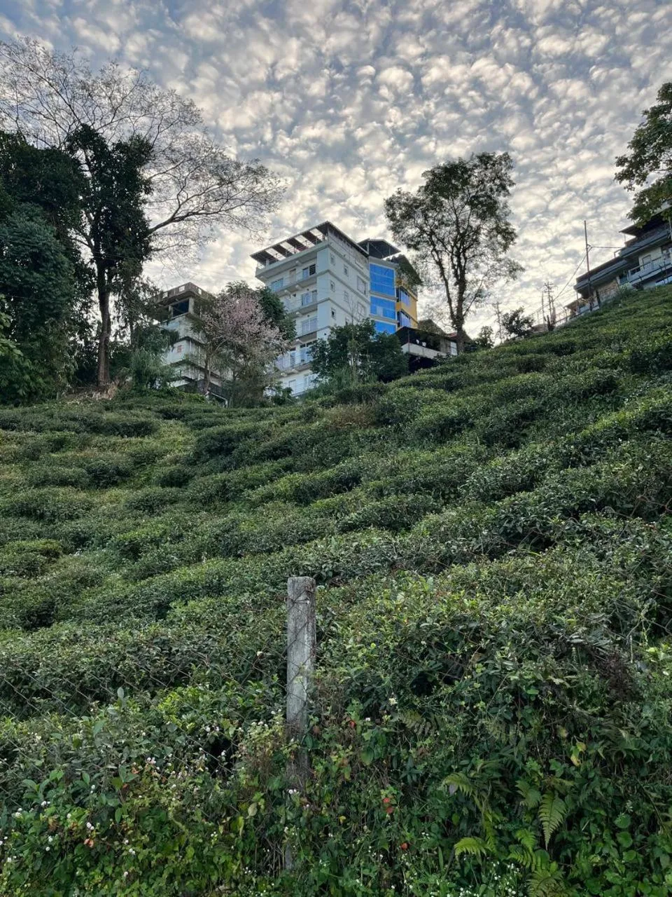 Property building in Mount Bashera Boutique Hotel