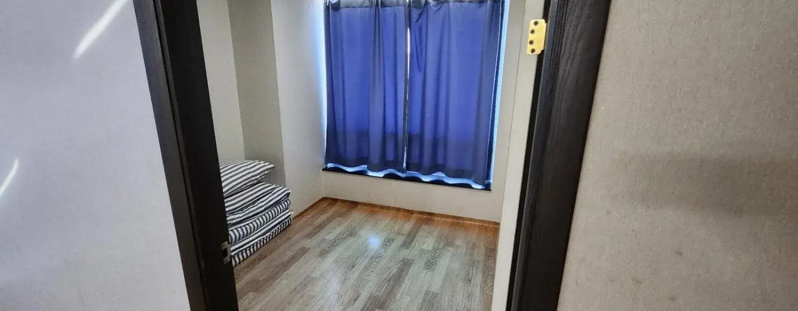 The WITT DOGO The WITT DOGO