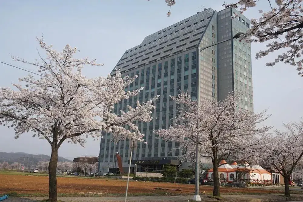 The WITT DOGO The WITT DOGO