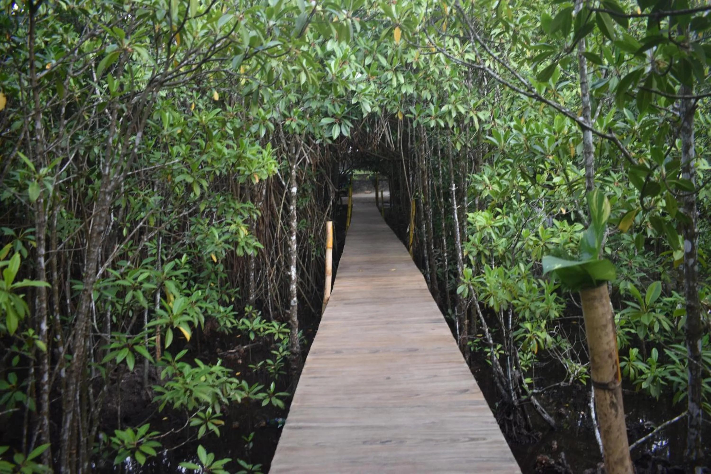 Day in Shiny Lakeside Resort