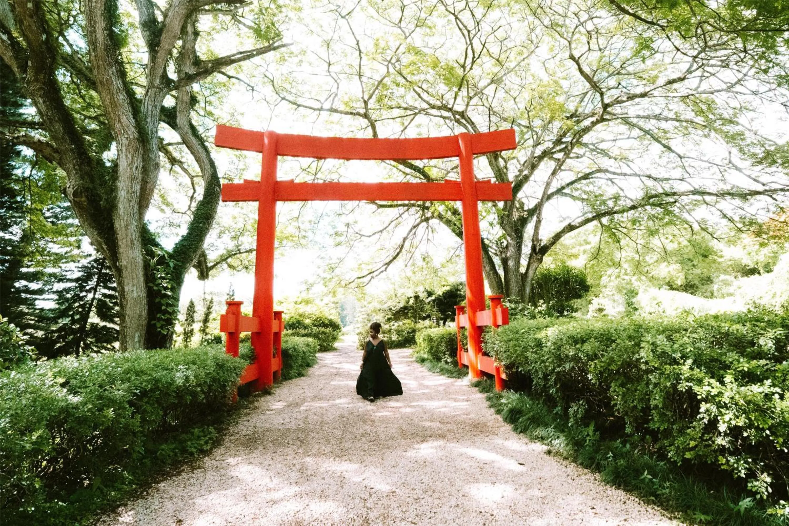 Day in Hyatt Centric Santo Domingo