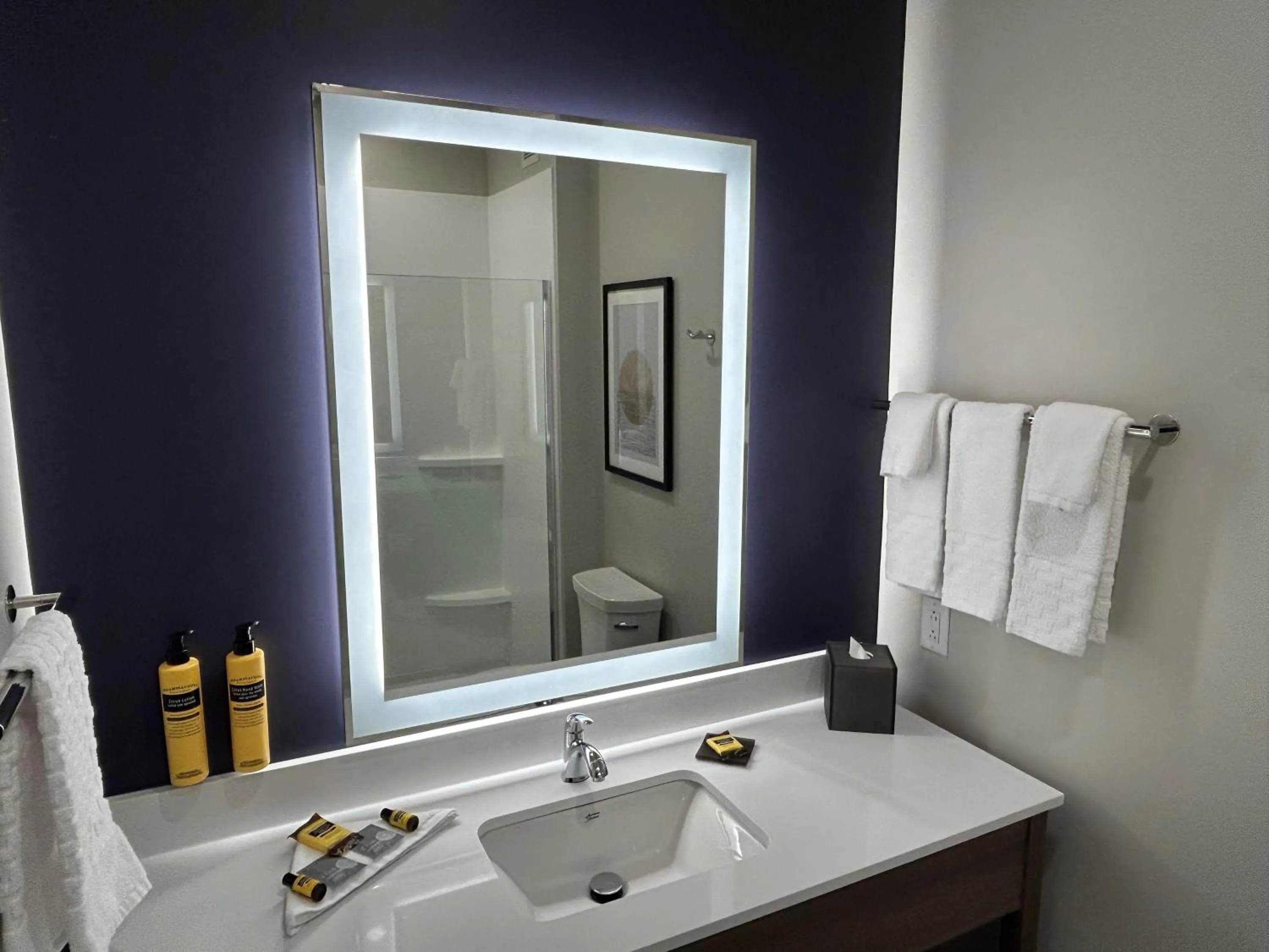 Bathroom in Best Western Plus Marquette Hotel & Suites