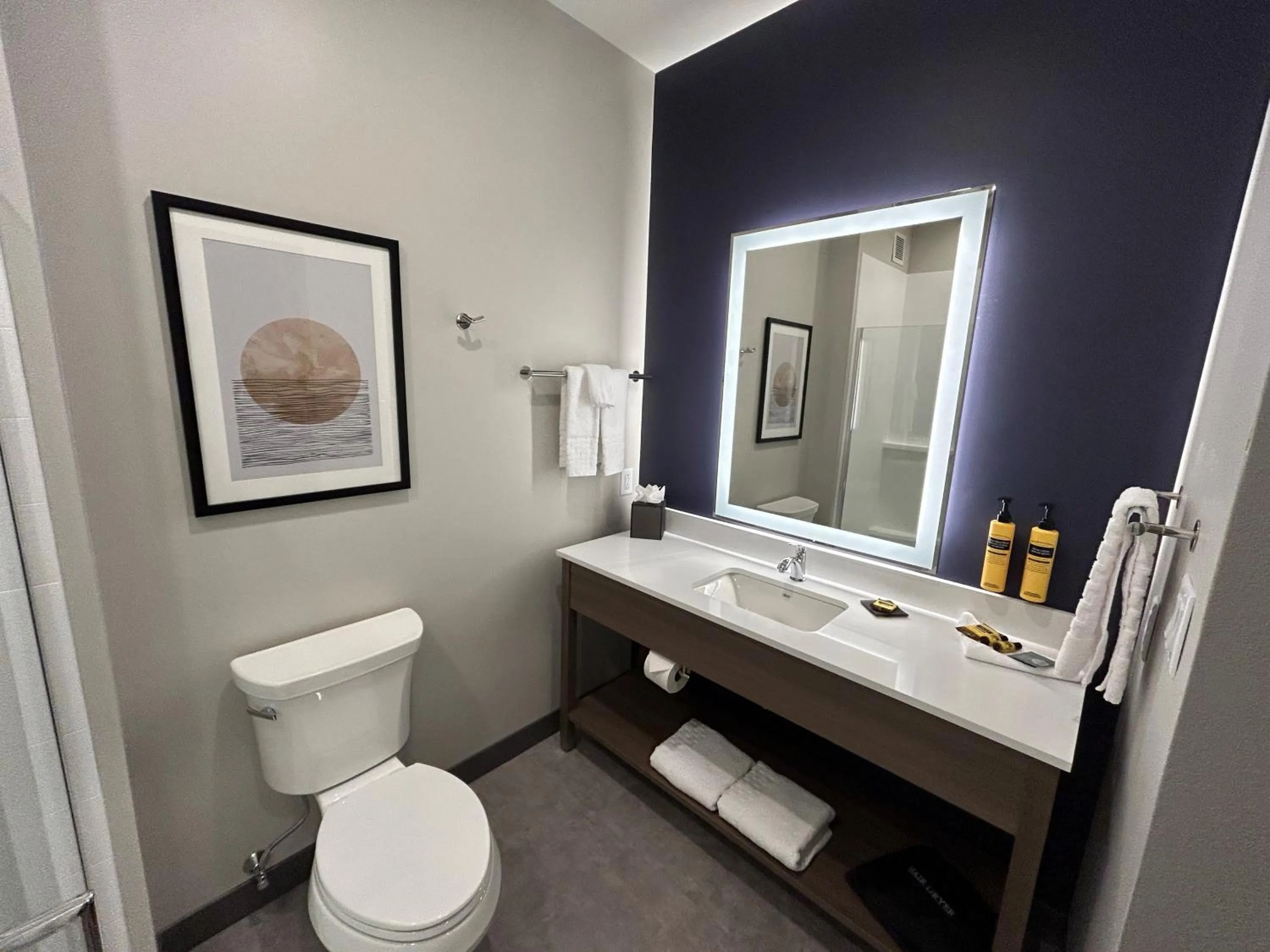 Bathroom in Best Western Plus Marquette Hotel & Suites