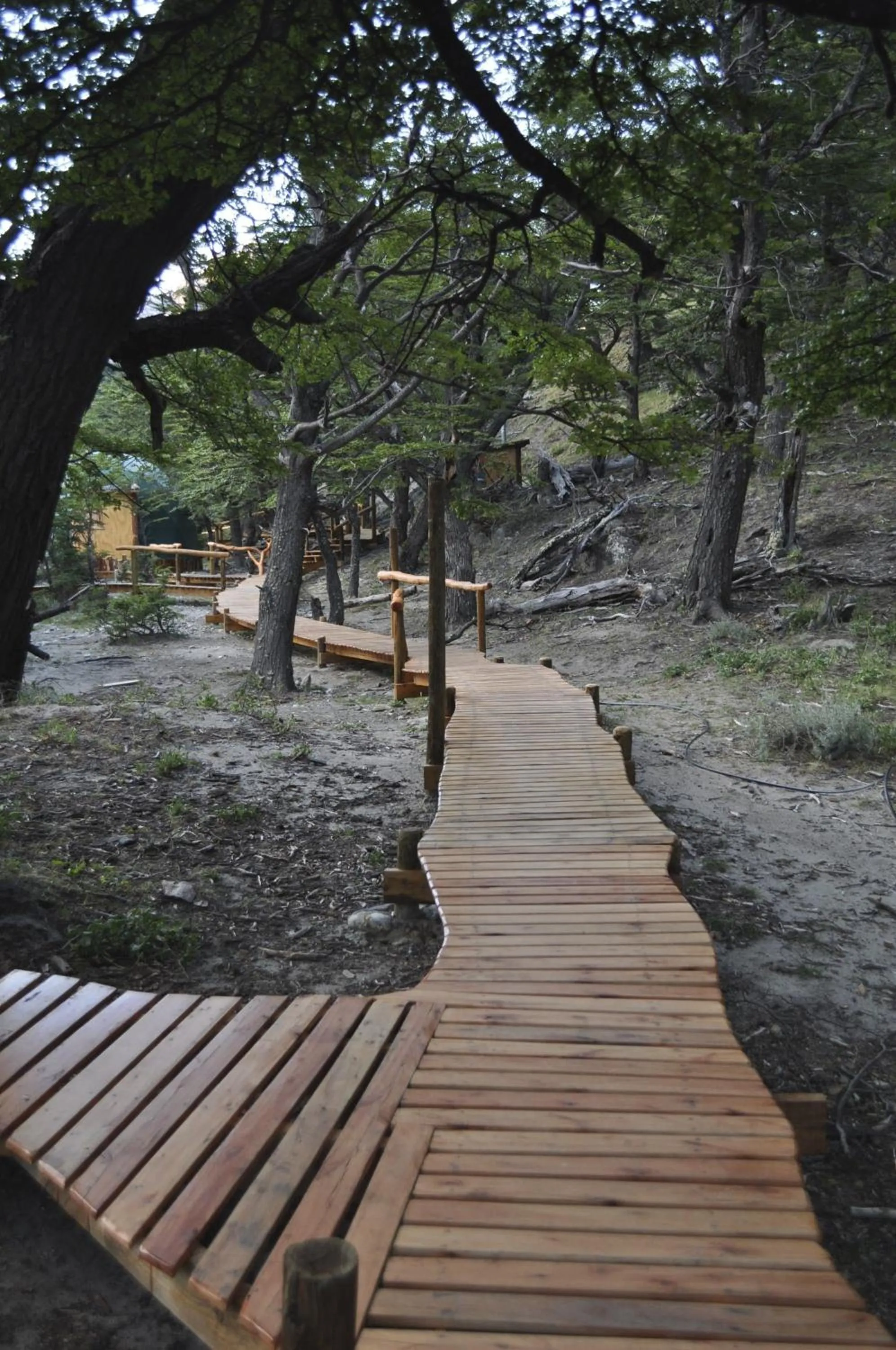 Natural landscape in Patagonia Eco Domes