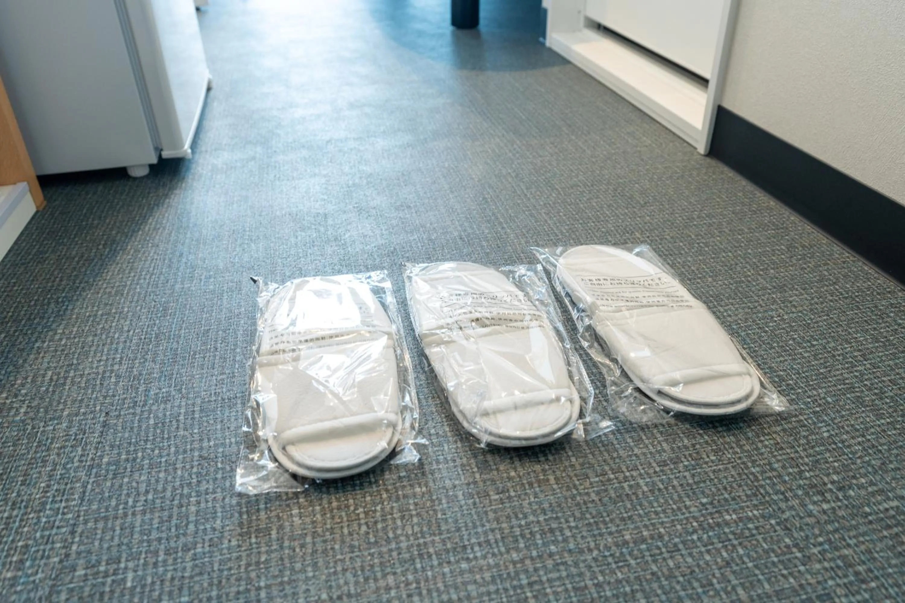 Other in Hotel Living Inn Kenchoumaeeki