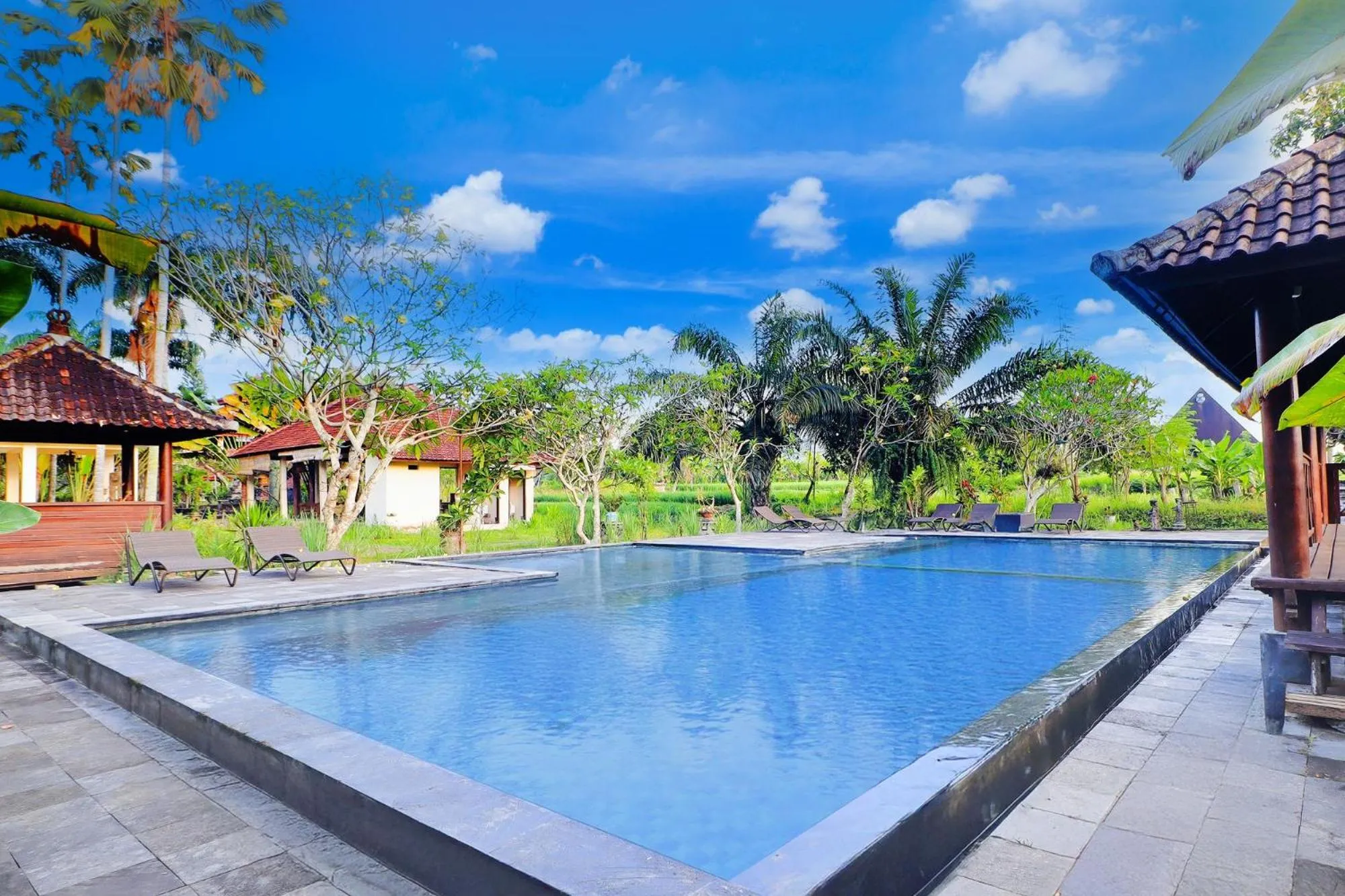 Swimming pool in Collection O Ubud Near Central Ubud Formerly Hotel Suly