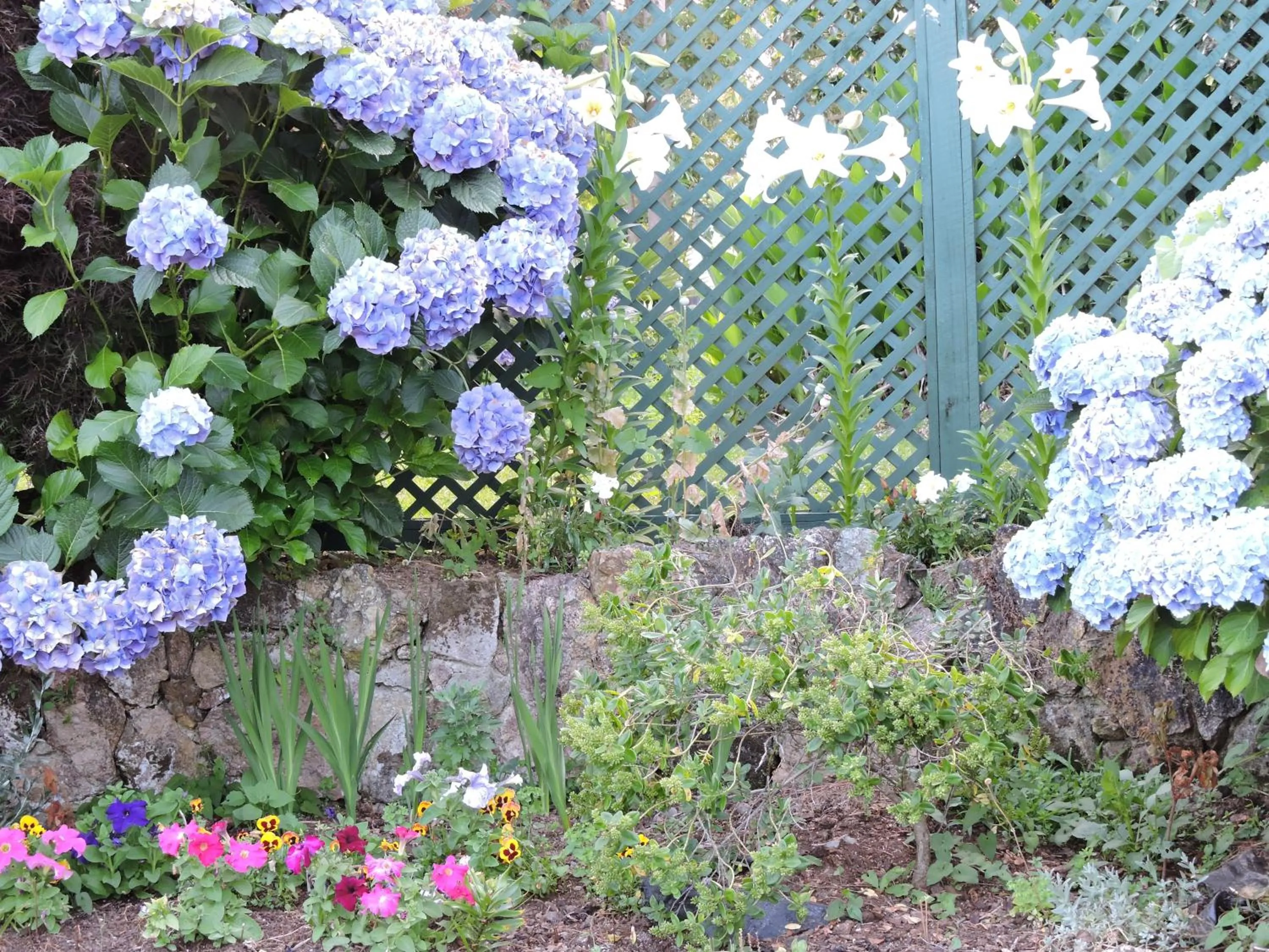 Garden in Maple Lodge Motel