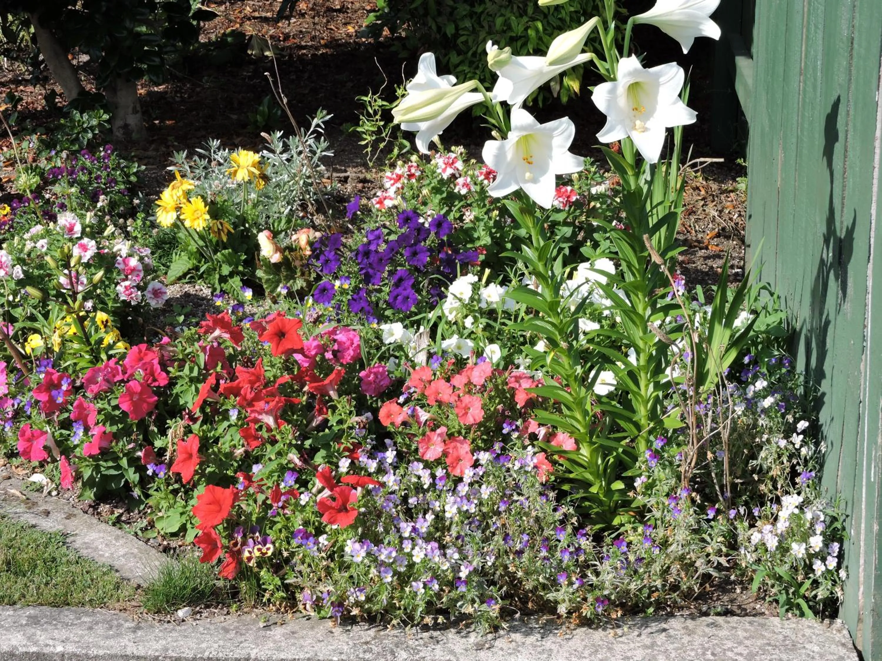 Garden in Maple Lodge Motel