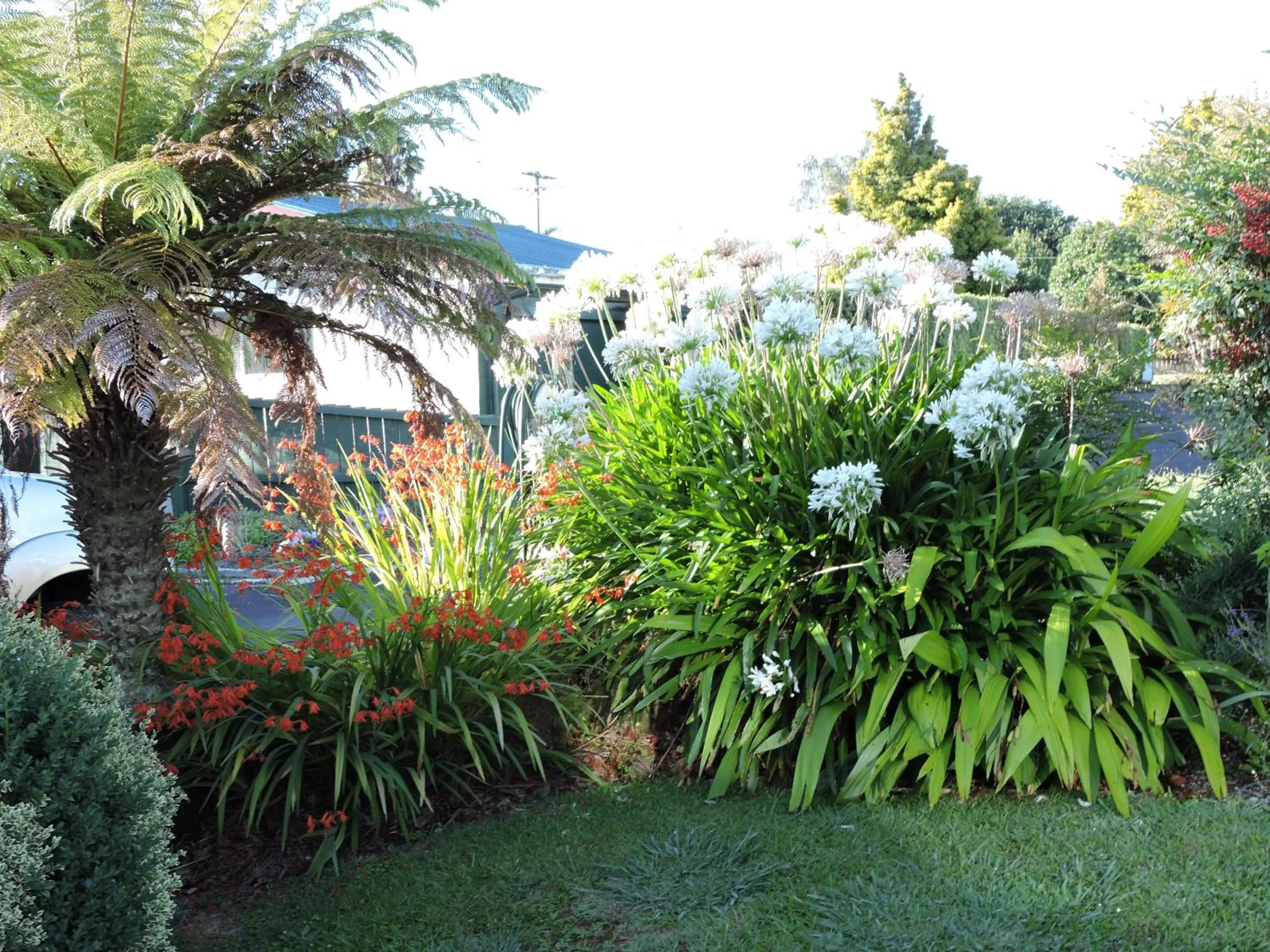 Garden in Maple Lodge Motel