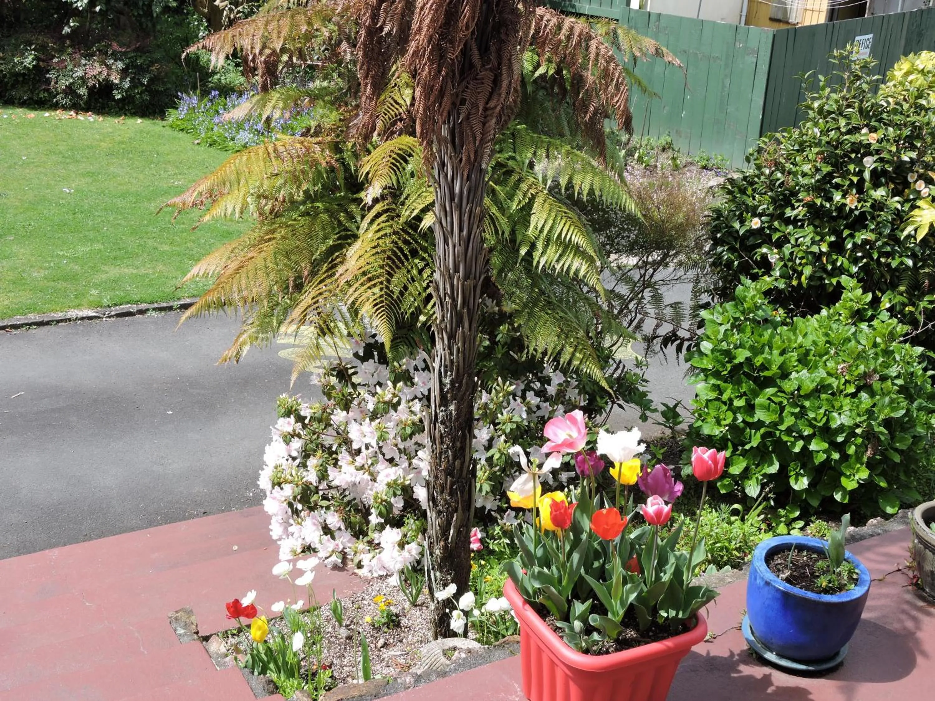 Garden in Maple Lodge Motel