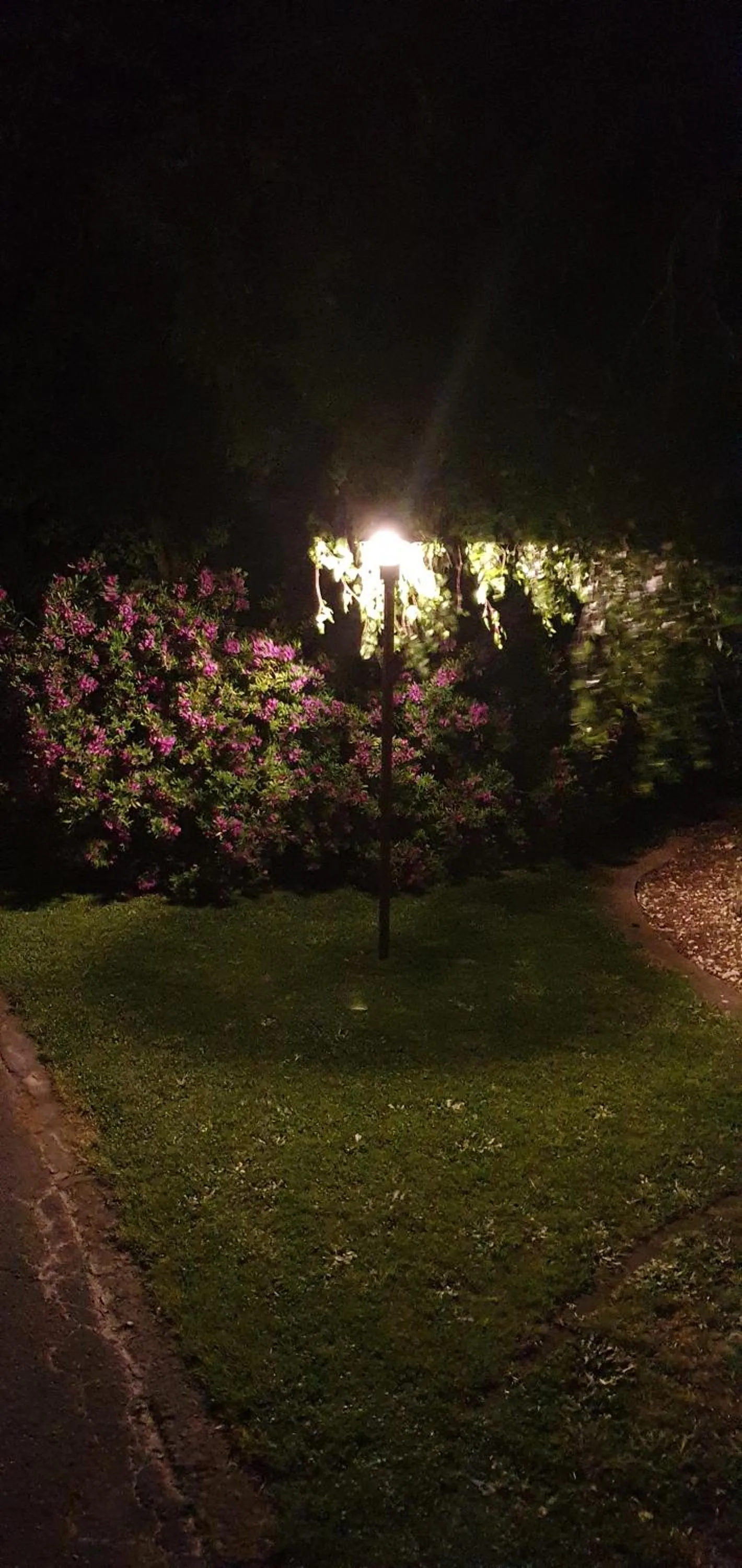 Night in Maple Lodge Motel