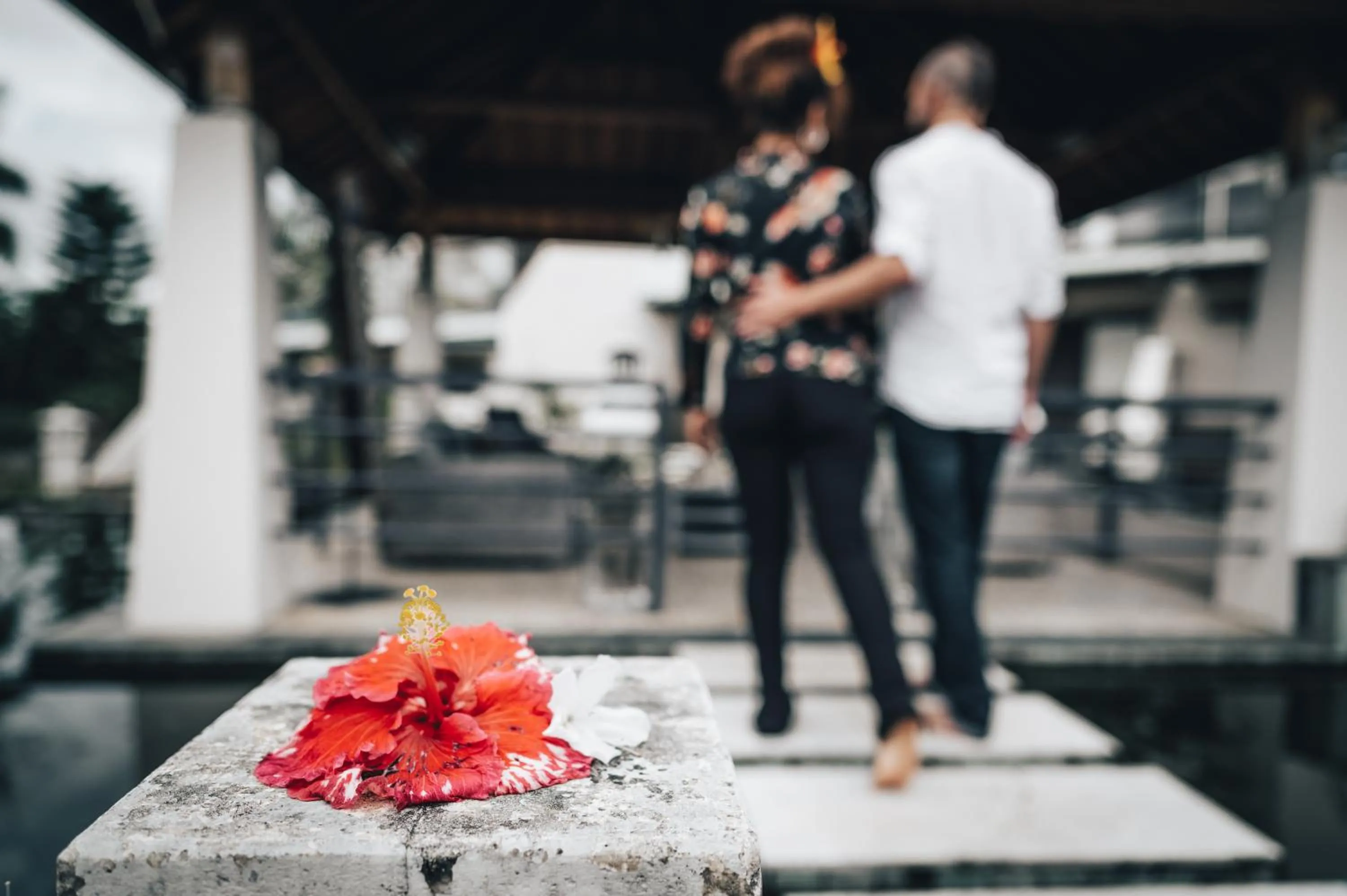 Hotel Hibiscus