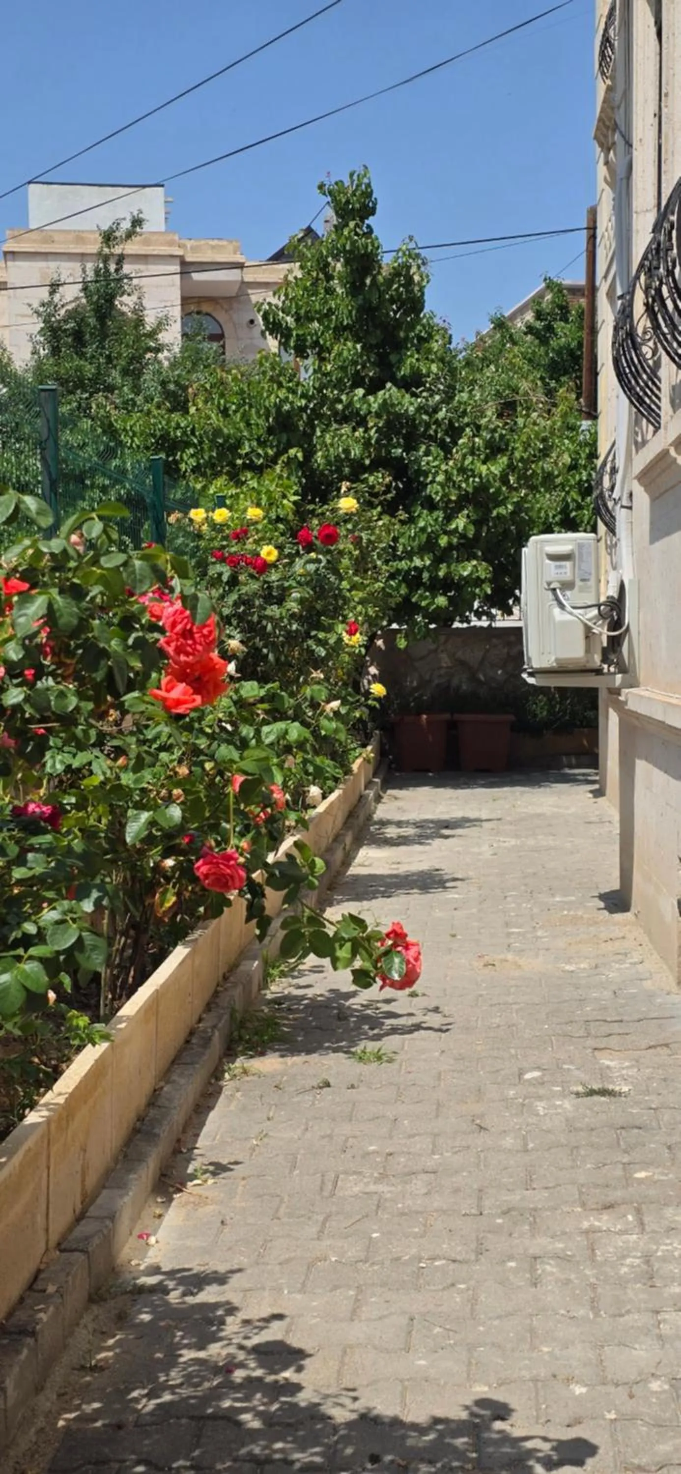 Garden in Cappadocia Divin House