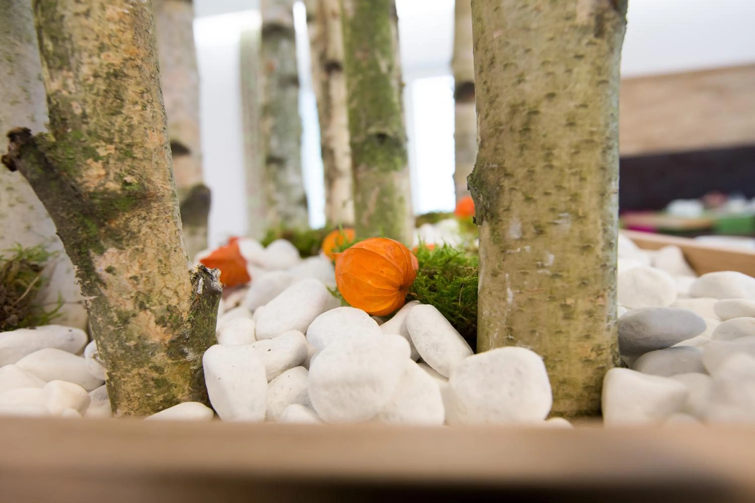 Decorative detail in Hotel Bauer garni