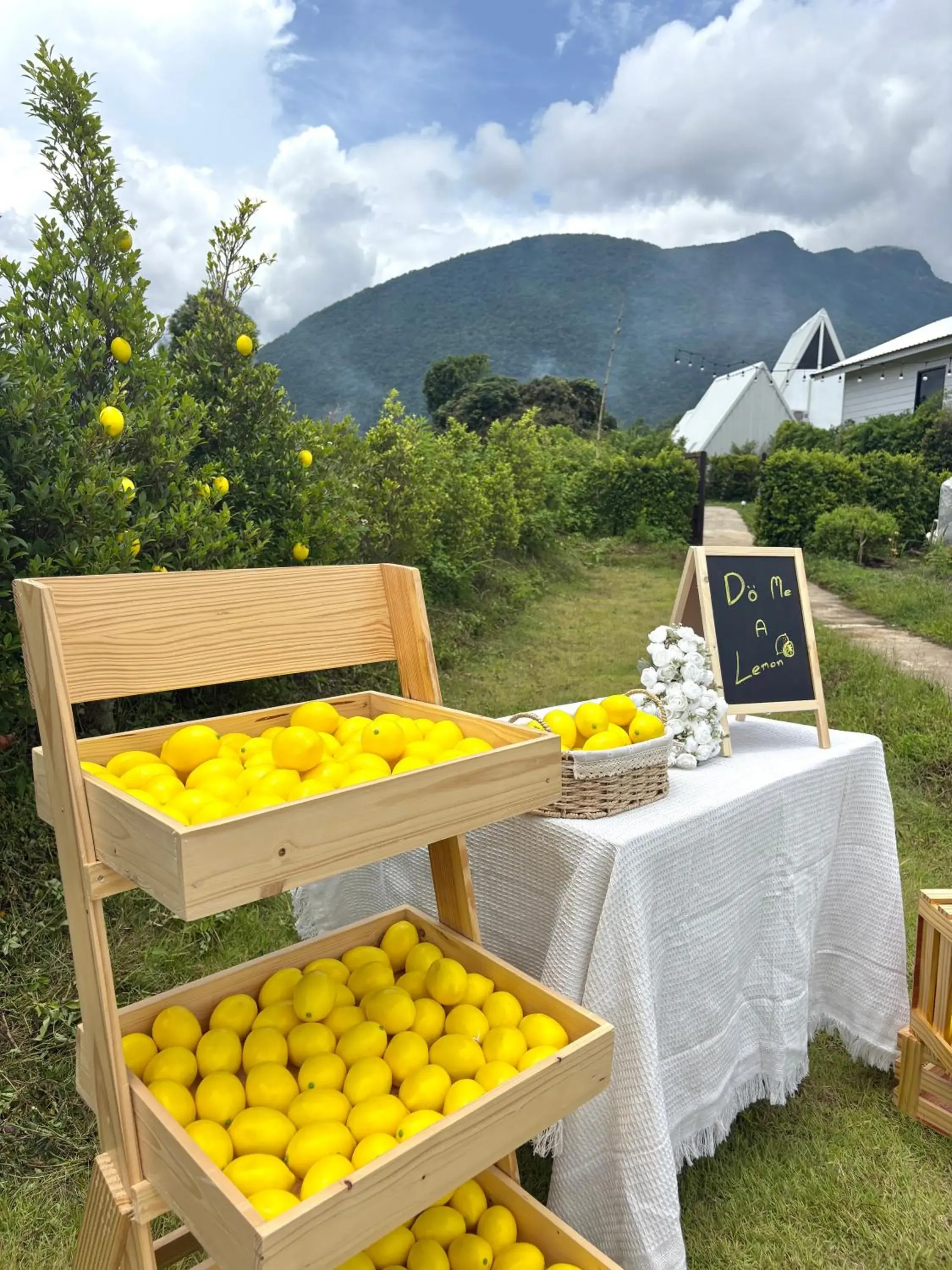 Mountain view in Paradise Resort & Cafe Mountain view in Paradise Resort & Cafe