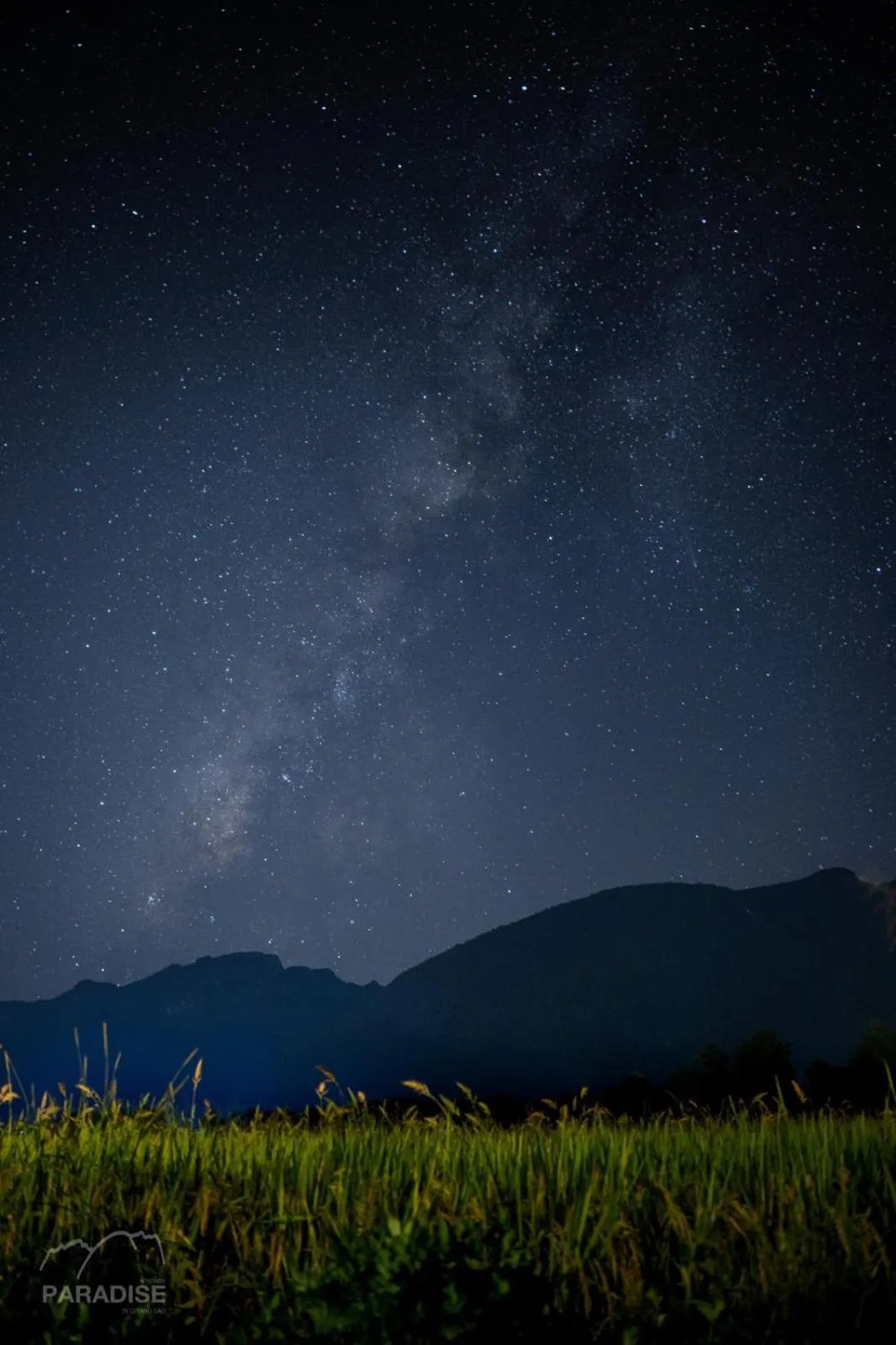 Night in Paradise Resort & Cafe