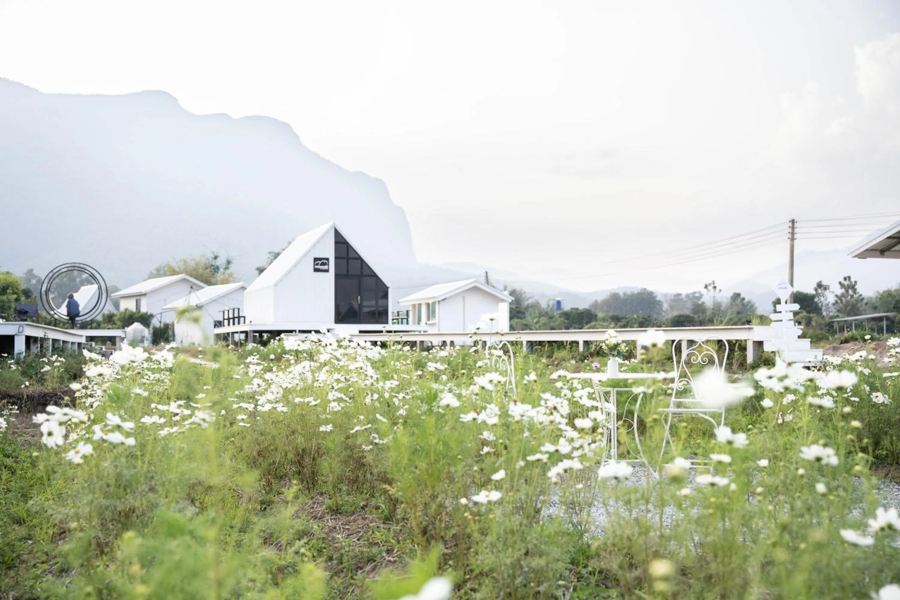 Garden view in Paradise Resort & Cafe
