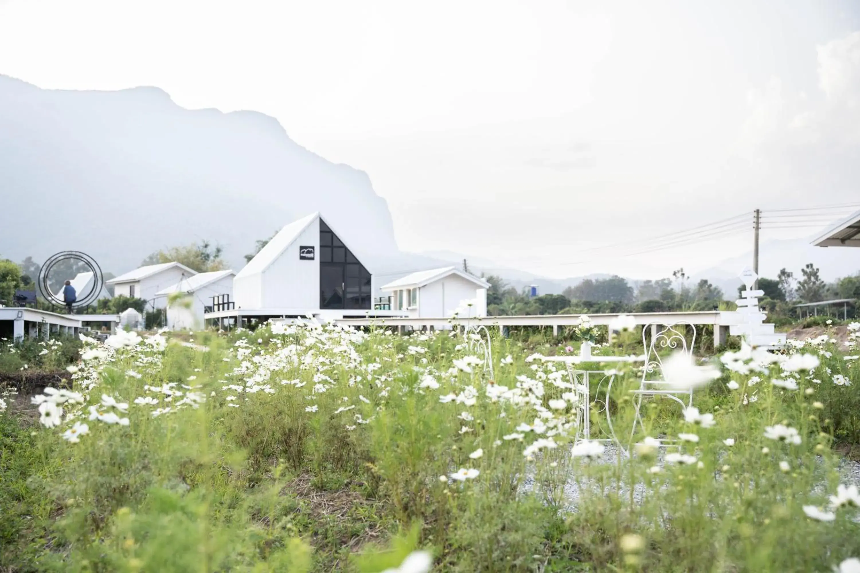 Garden view in Paradise Resort & Cafe Garden view in Paradise Resort & Cafe