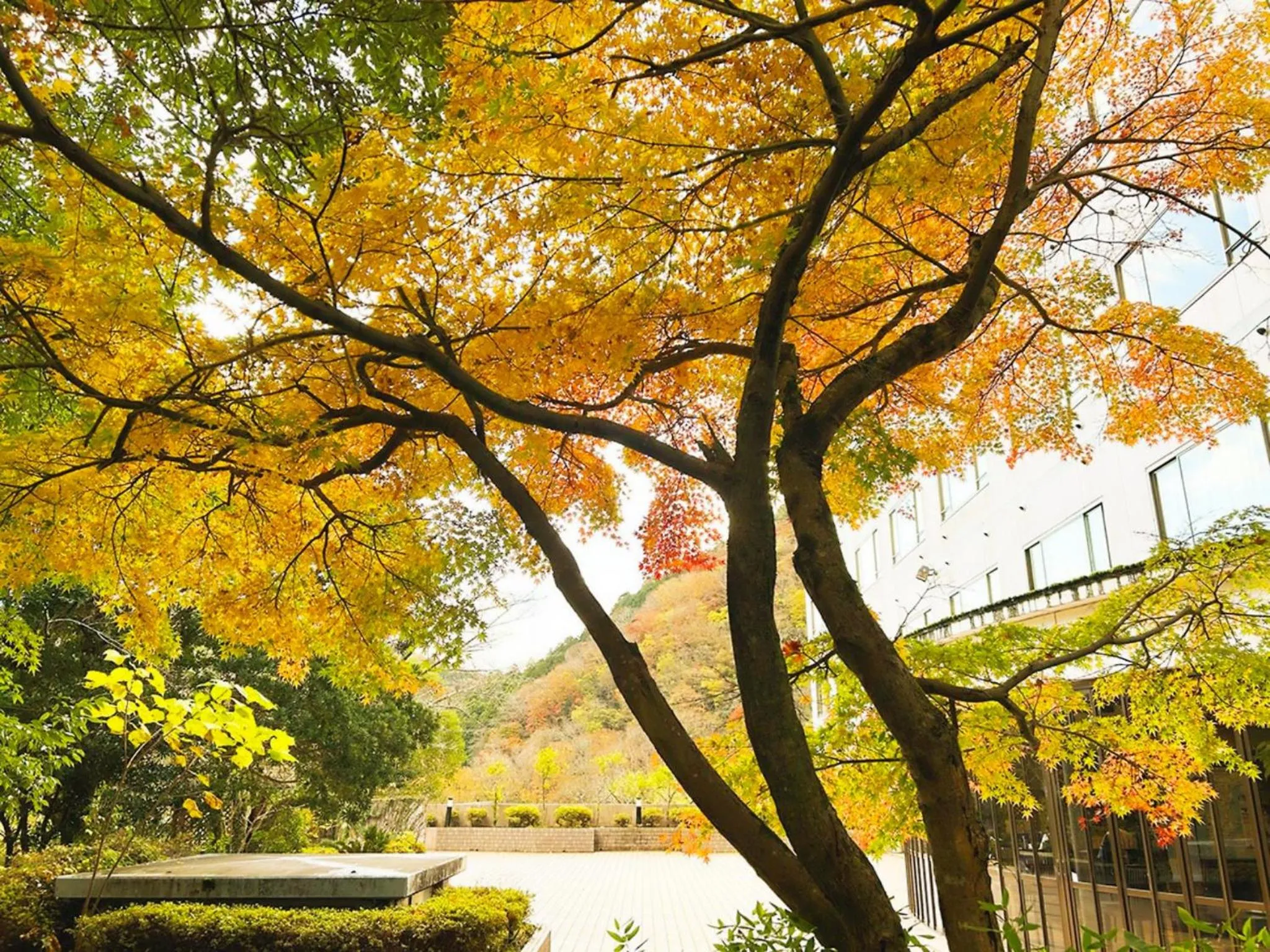 Nearby landmark in Shuzenji Onsen Hotel Takitei