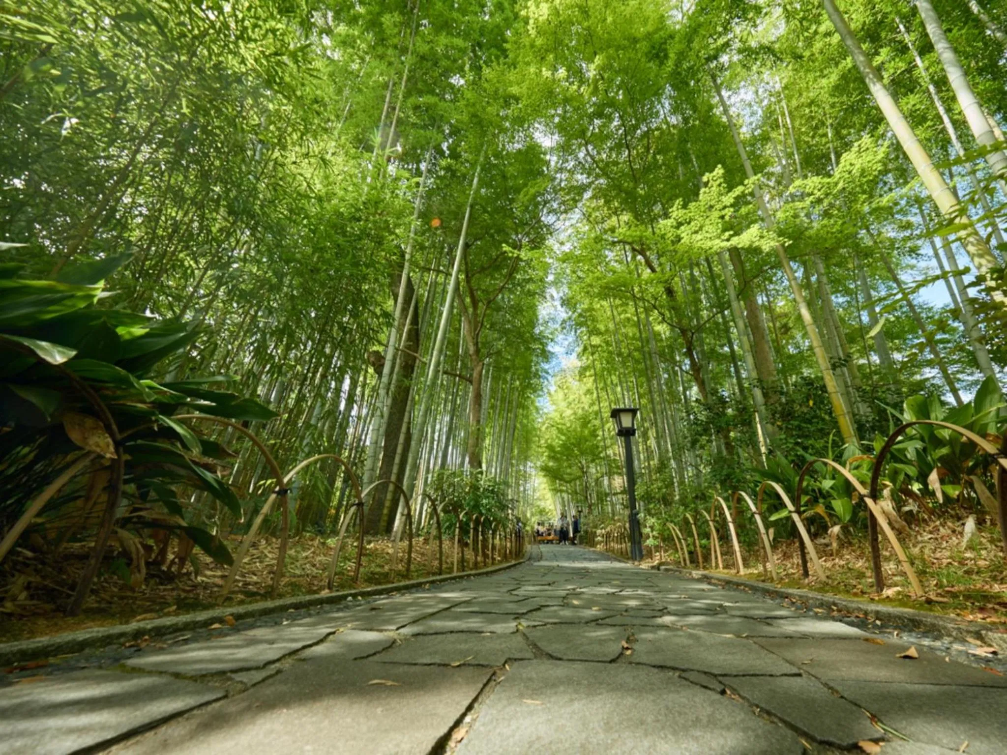 Nearby landmark in Shuzenji Onsen Hotel Takitei