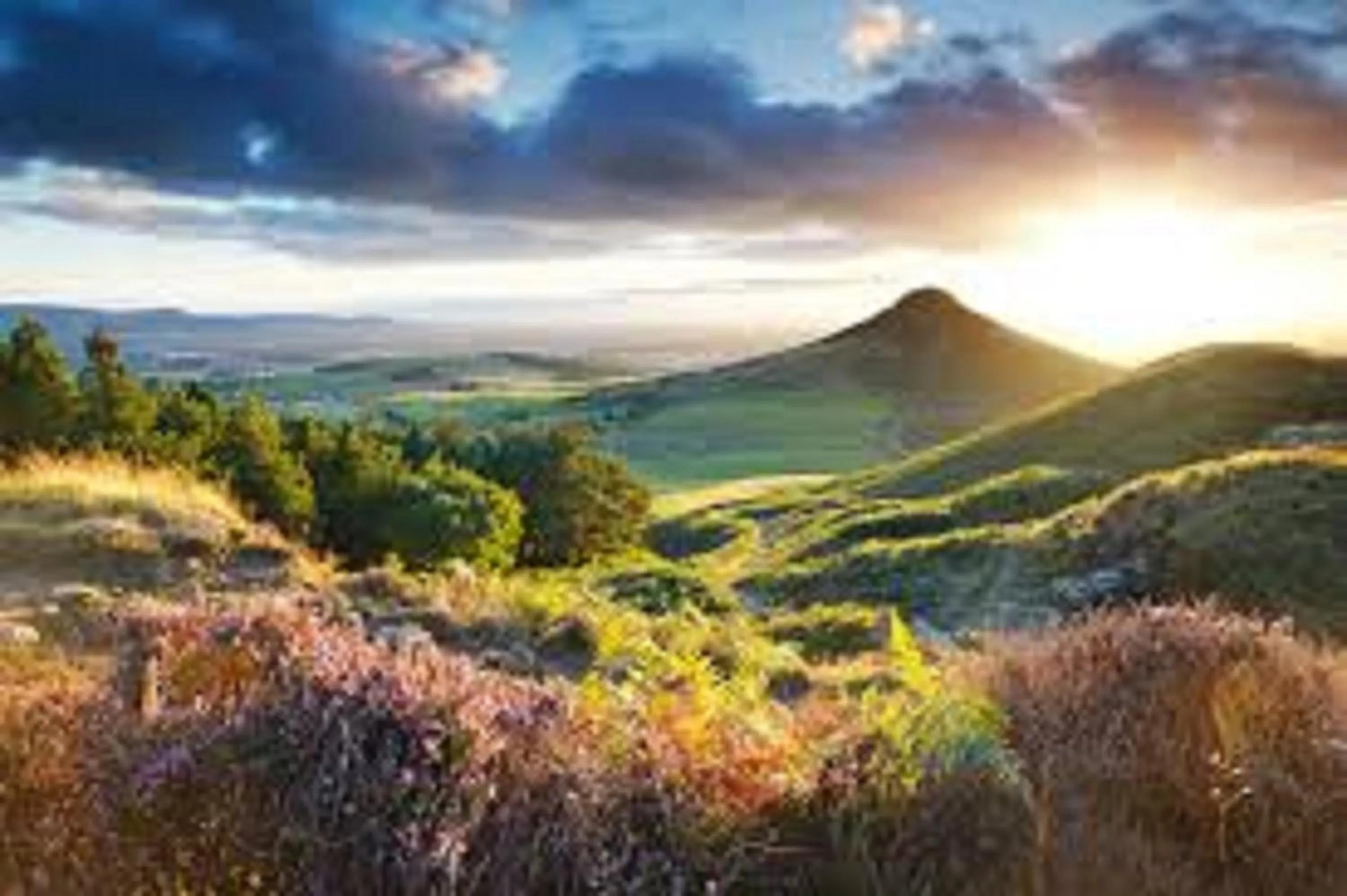 Natural landscape in The Old Cart House