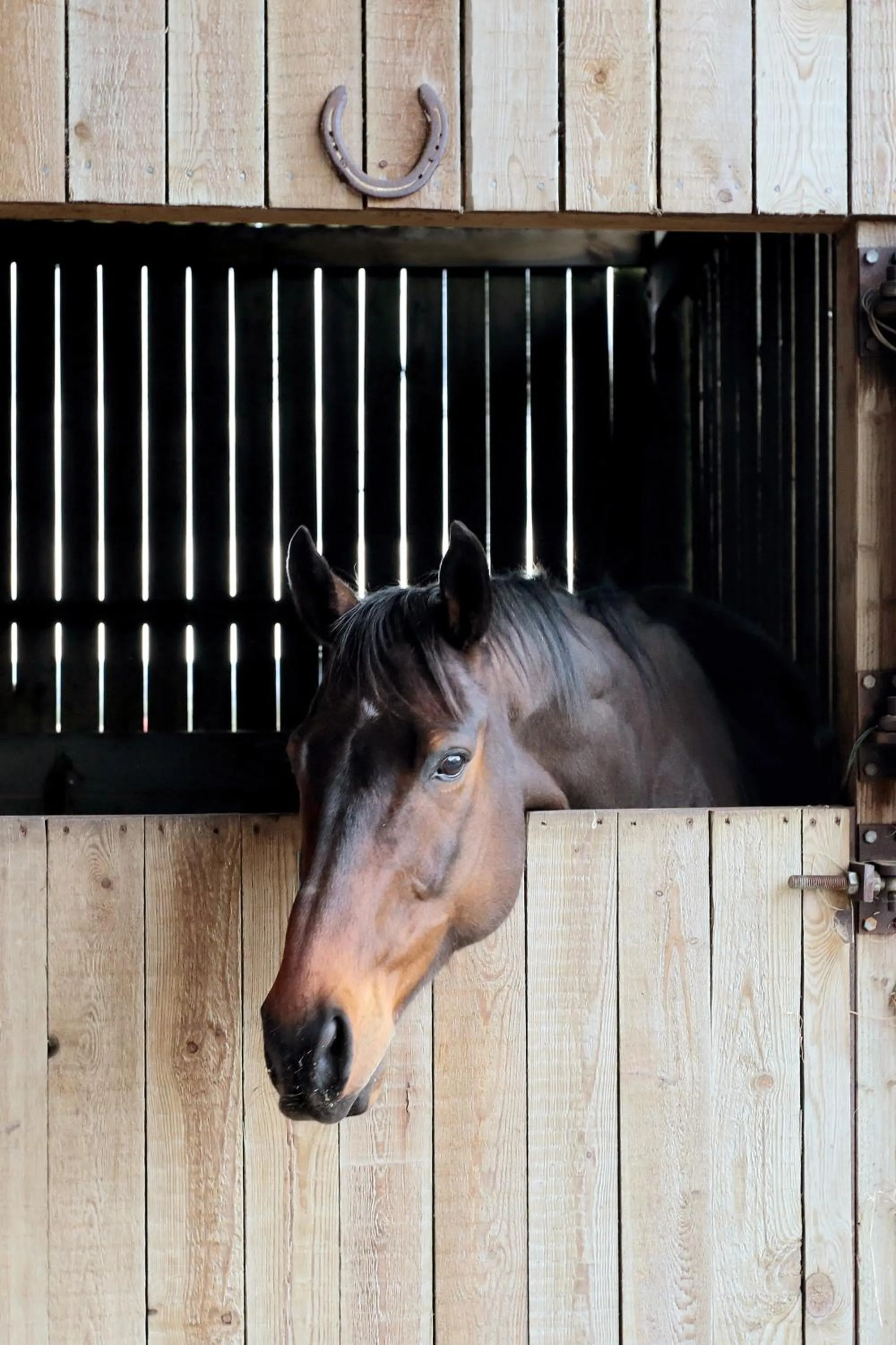 Pets in The Old Cart House